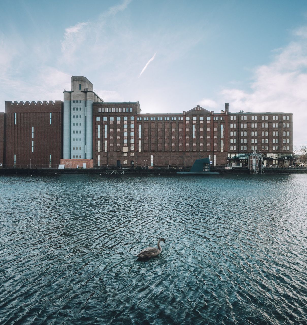 Hafenbecken mit Schwänen und dem Museum Küppersmühle im Hintergrund