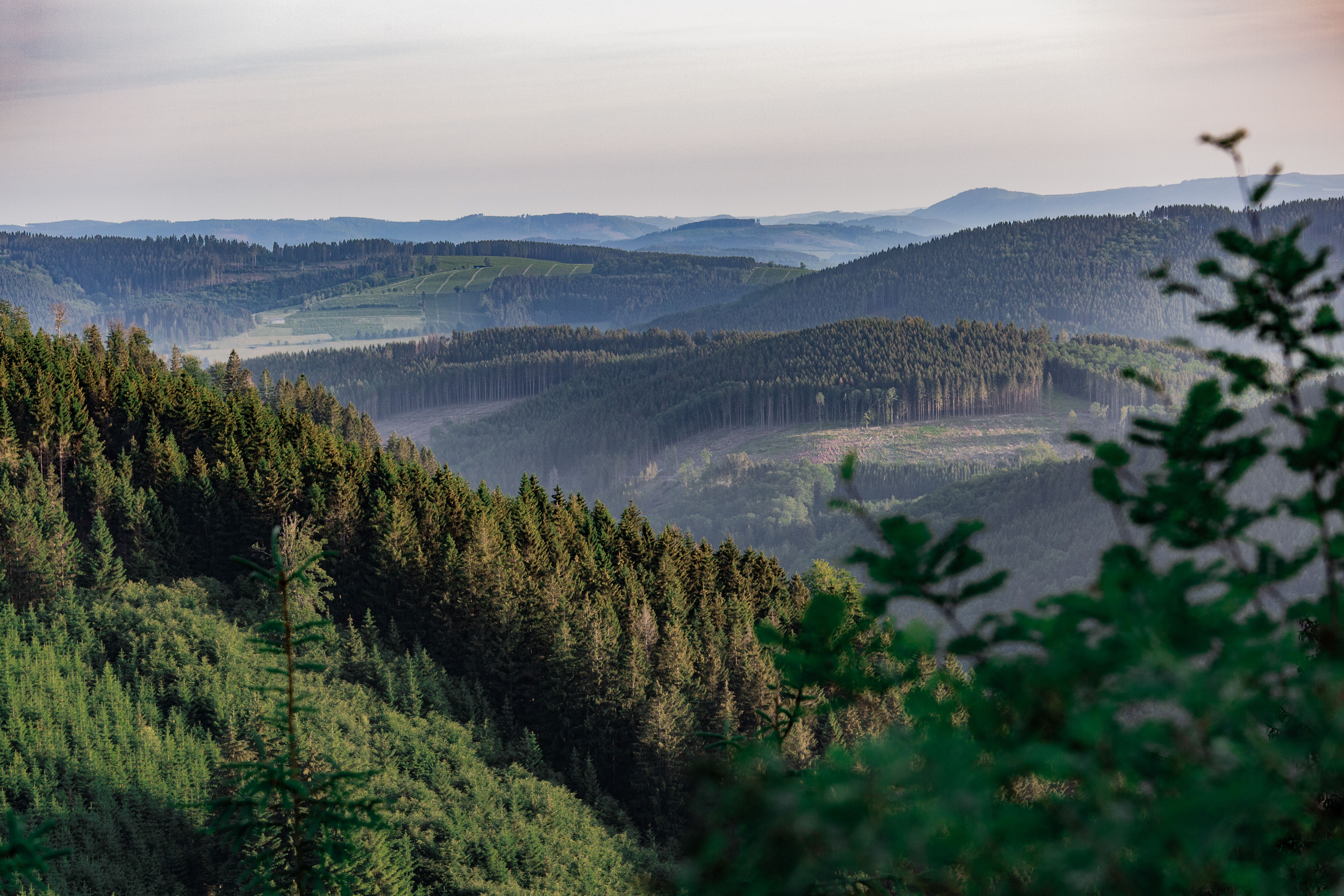 Rothaarsteig, Panorama