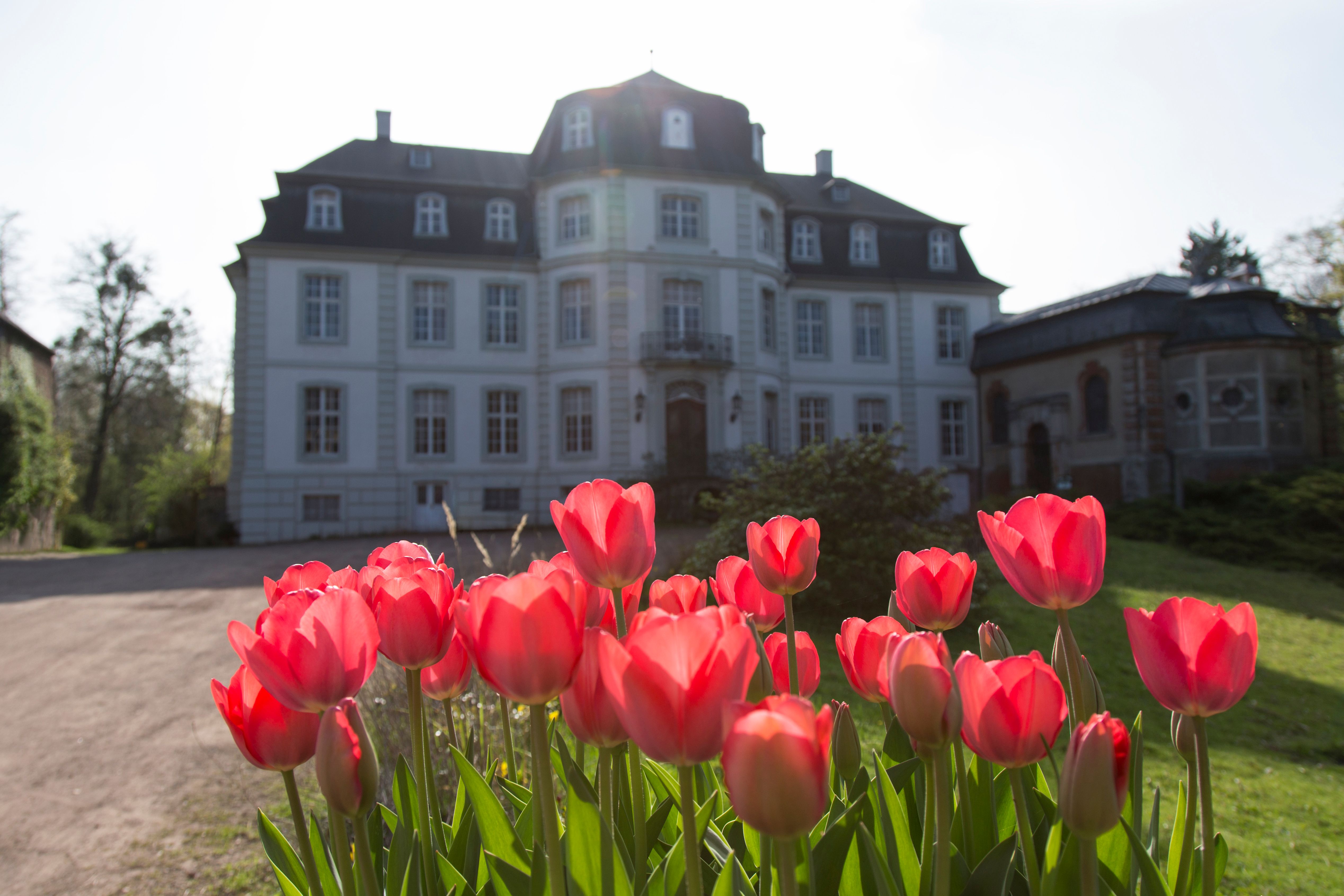 Front view of Türnich Castle