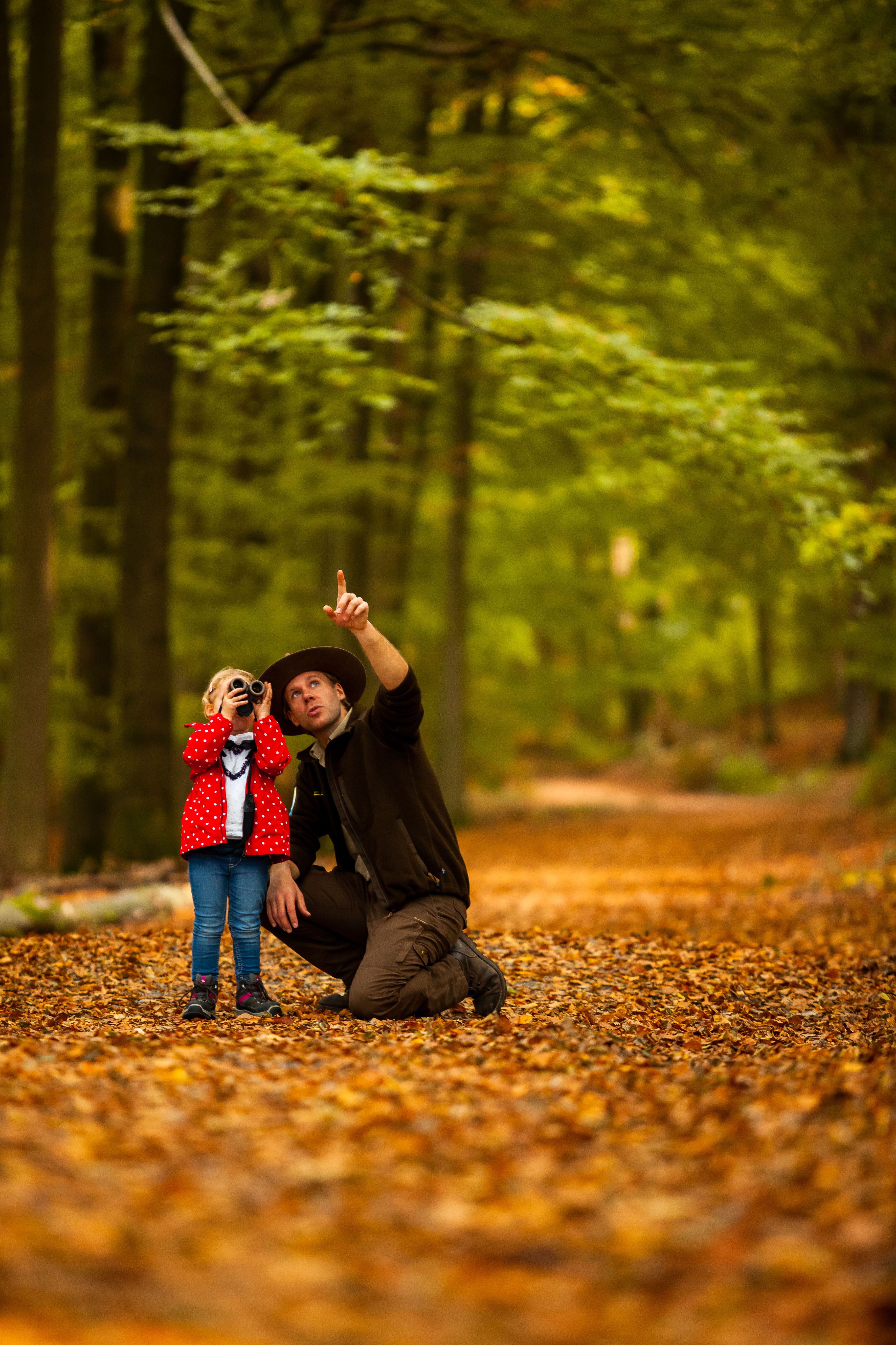 Urft dam View of the dam