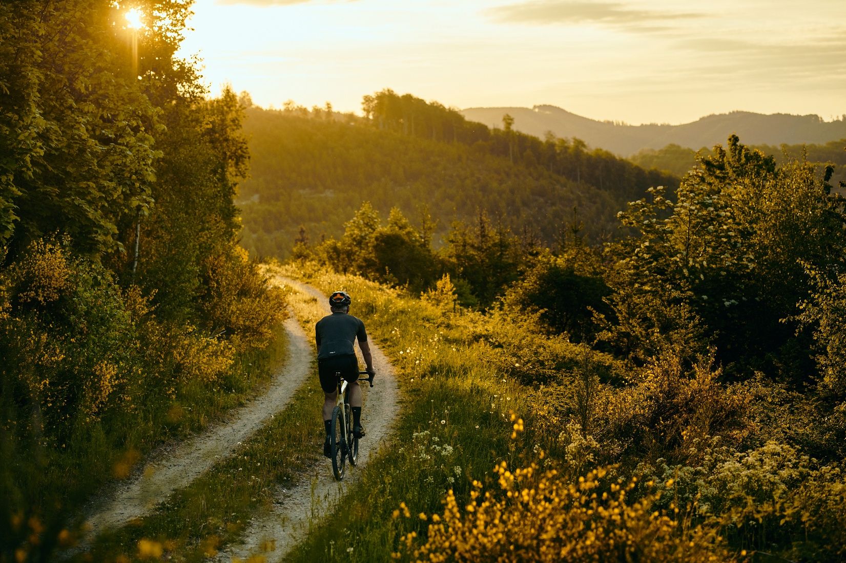 A cyclist on a forest path at sunset, surrounded by green, hilly landscape