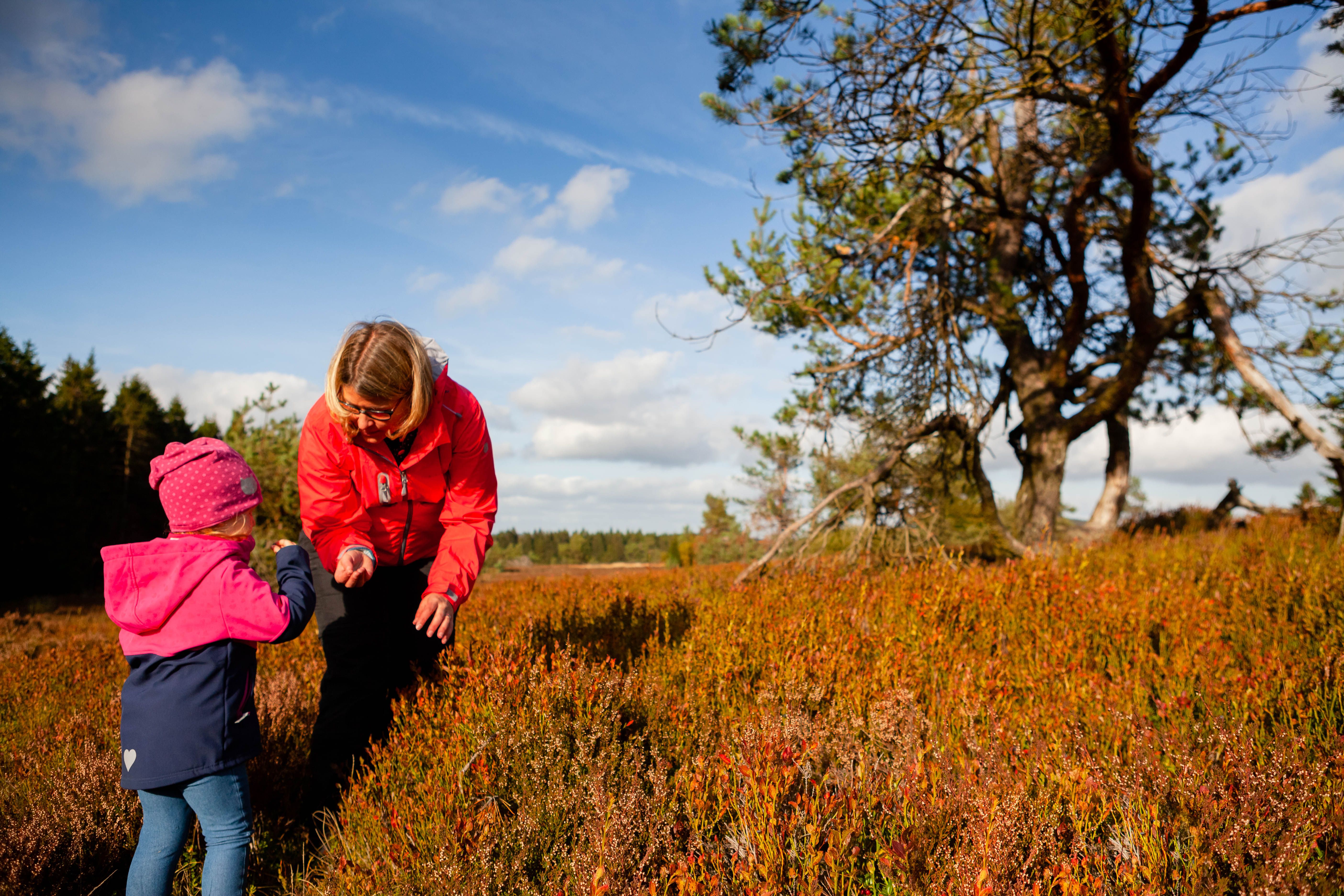 Out and about in the "Neuer Hagen" nature reserve, which boasts the largest high heath in NRW