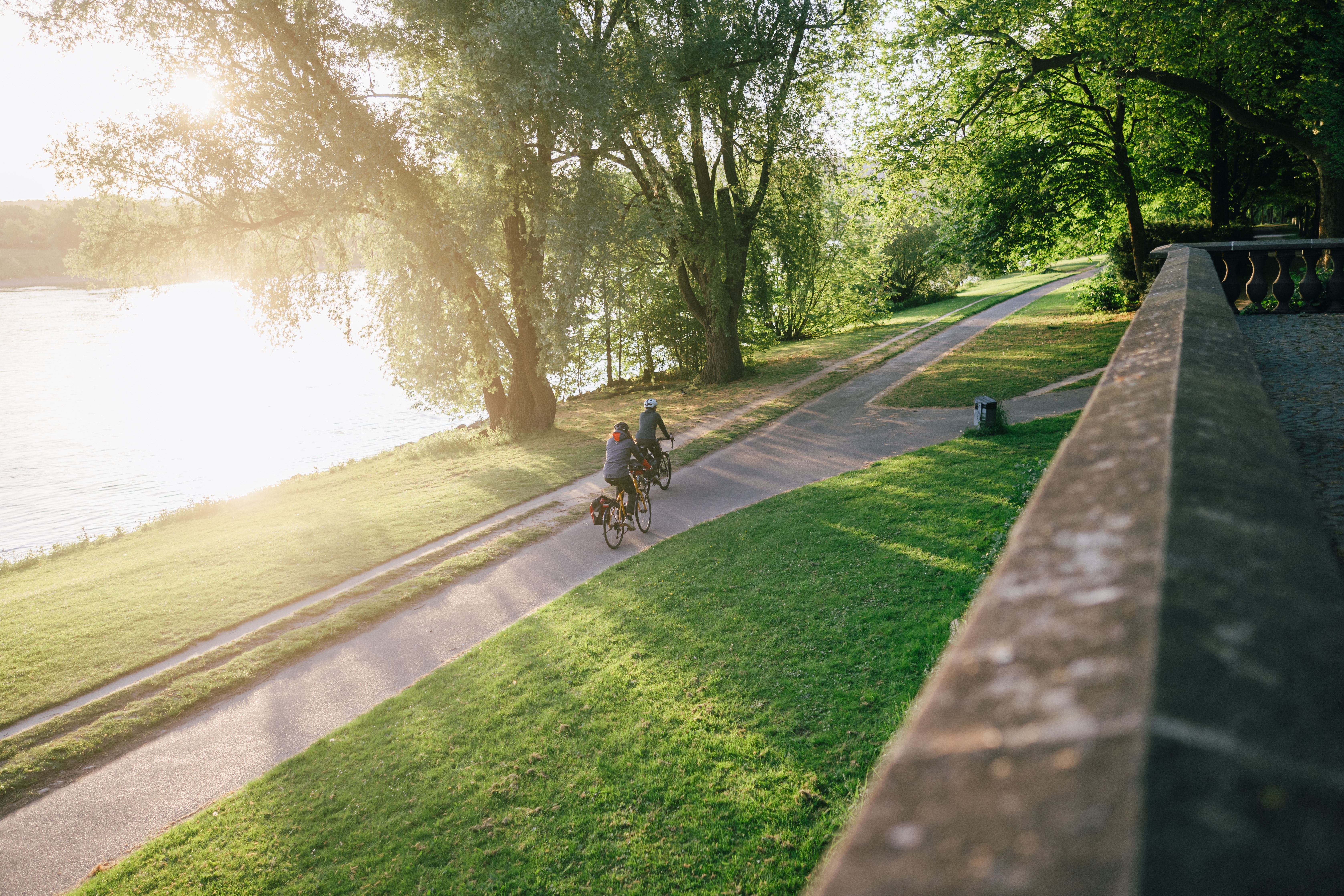 Cyclist in the Rheinaue in Bonn