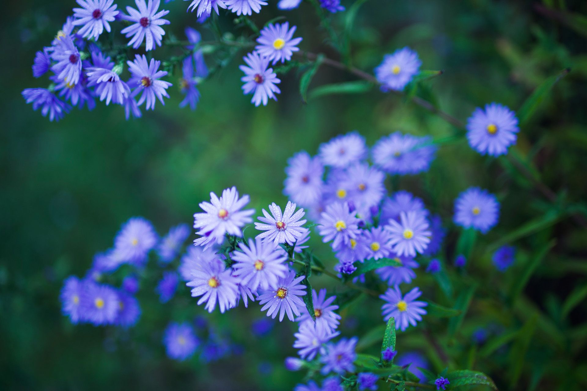 To Page Wassenberg Garden Park