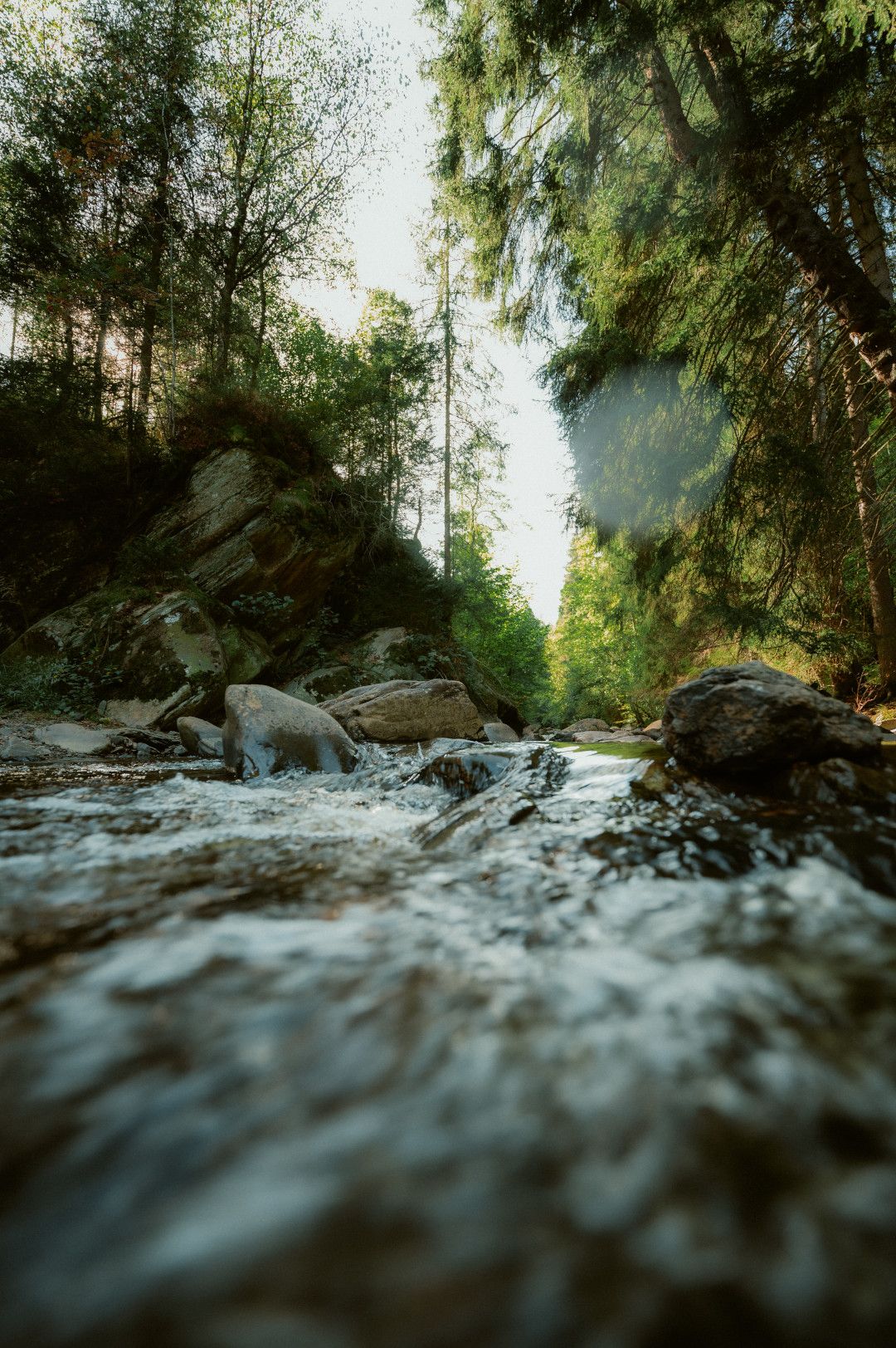 Floating Water in a river