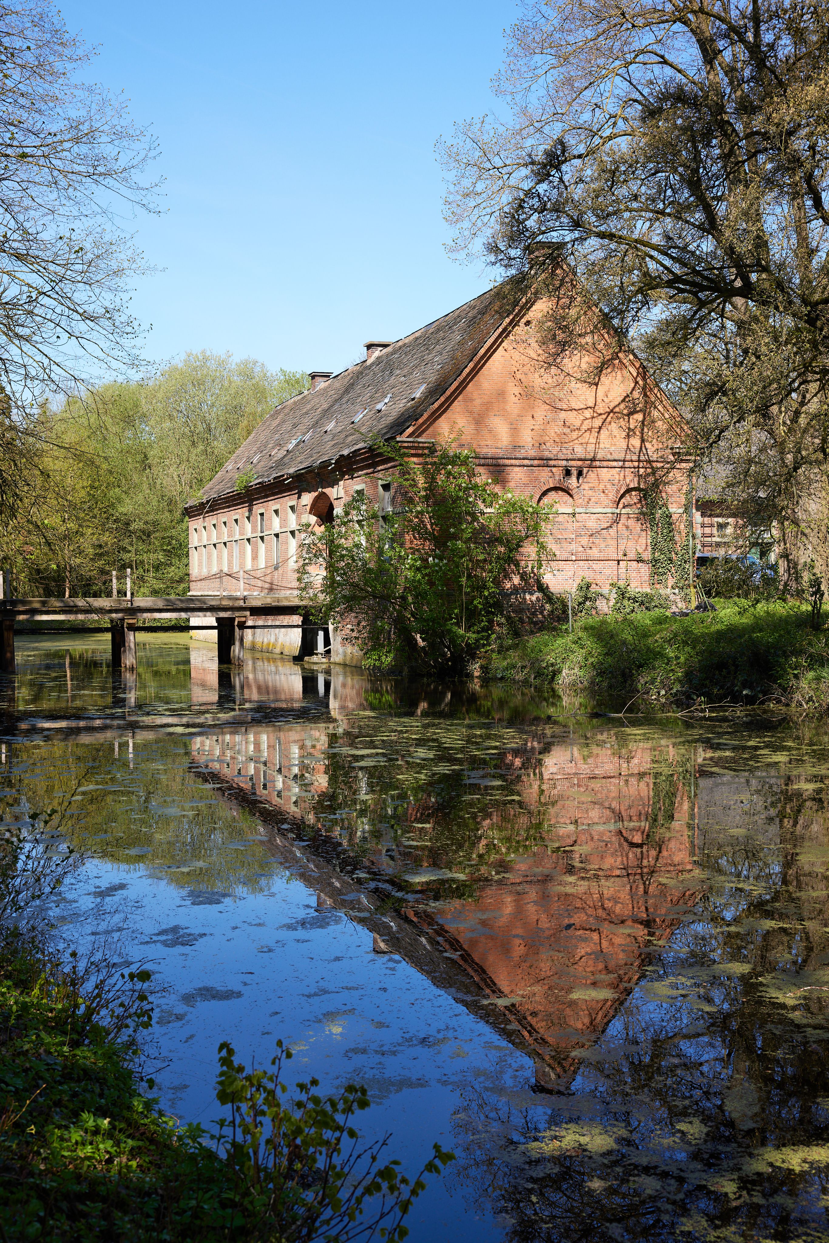 The Renaissance castle Assen in the Lippetal is surrounded by trees and a moat