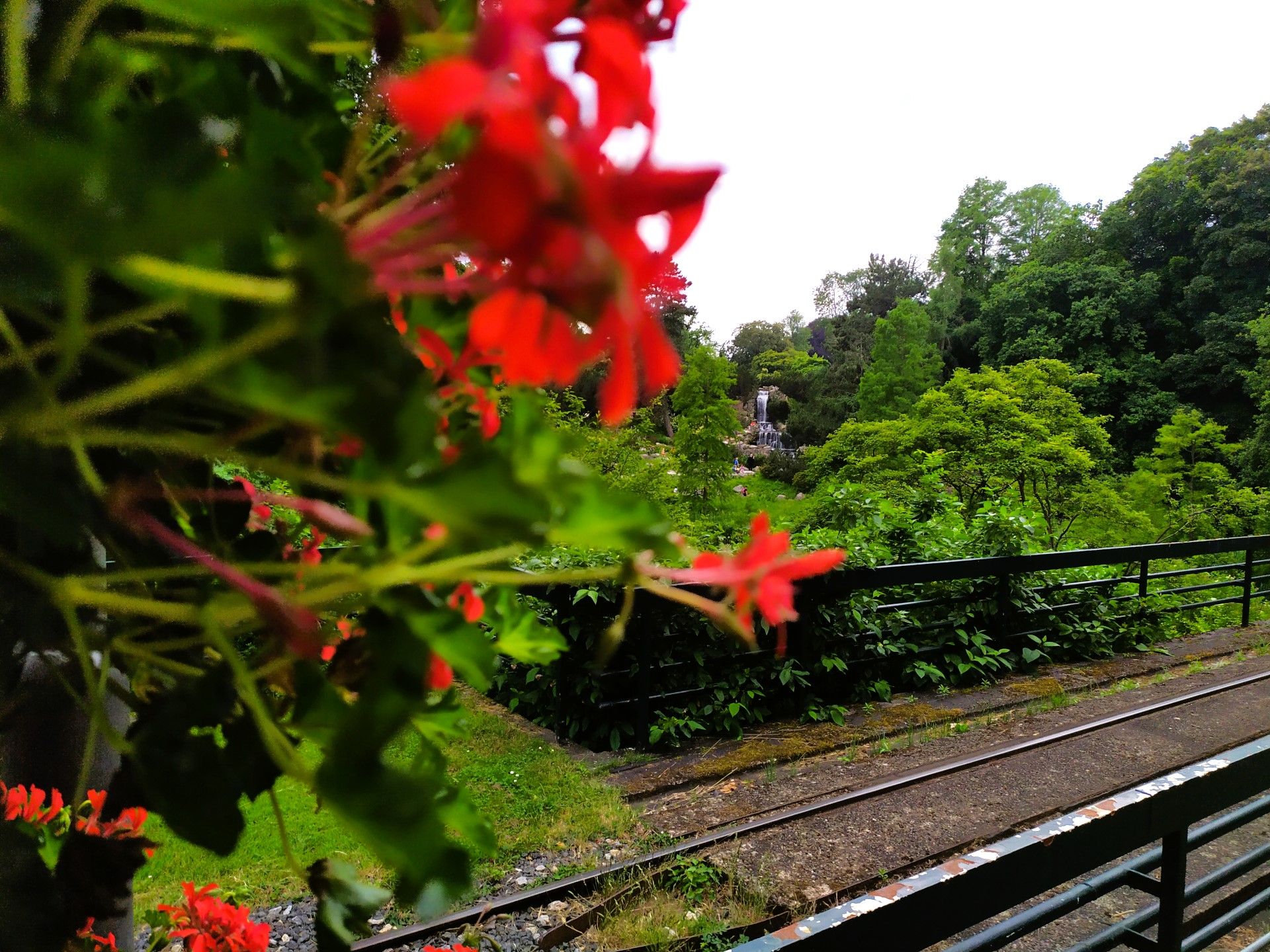 Guests can discover something at every corner of the Grugapark. A small waterfall can be seen behind the floral splendor