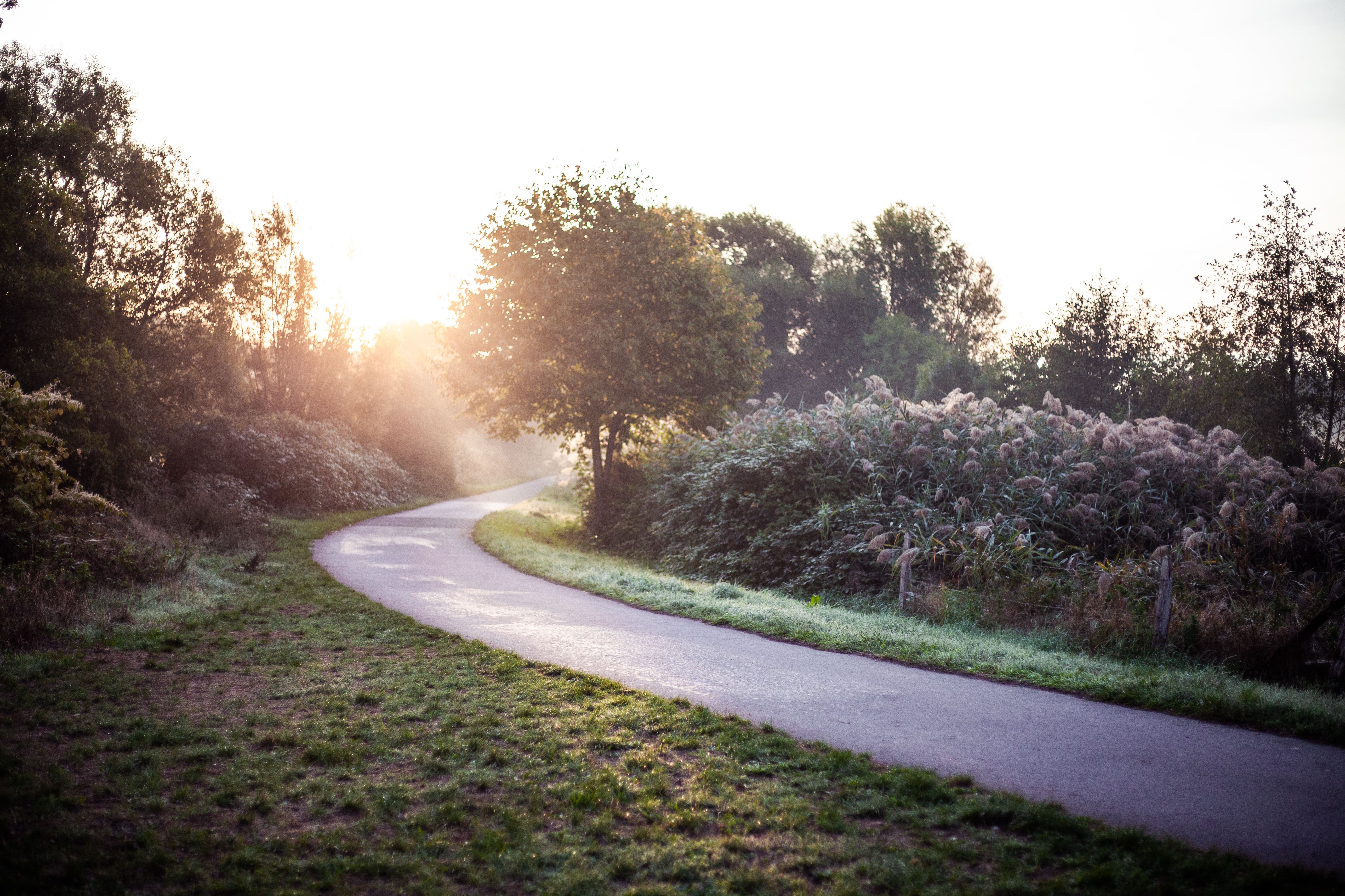Ruhrtalradweg at sunrise