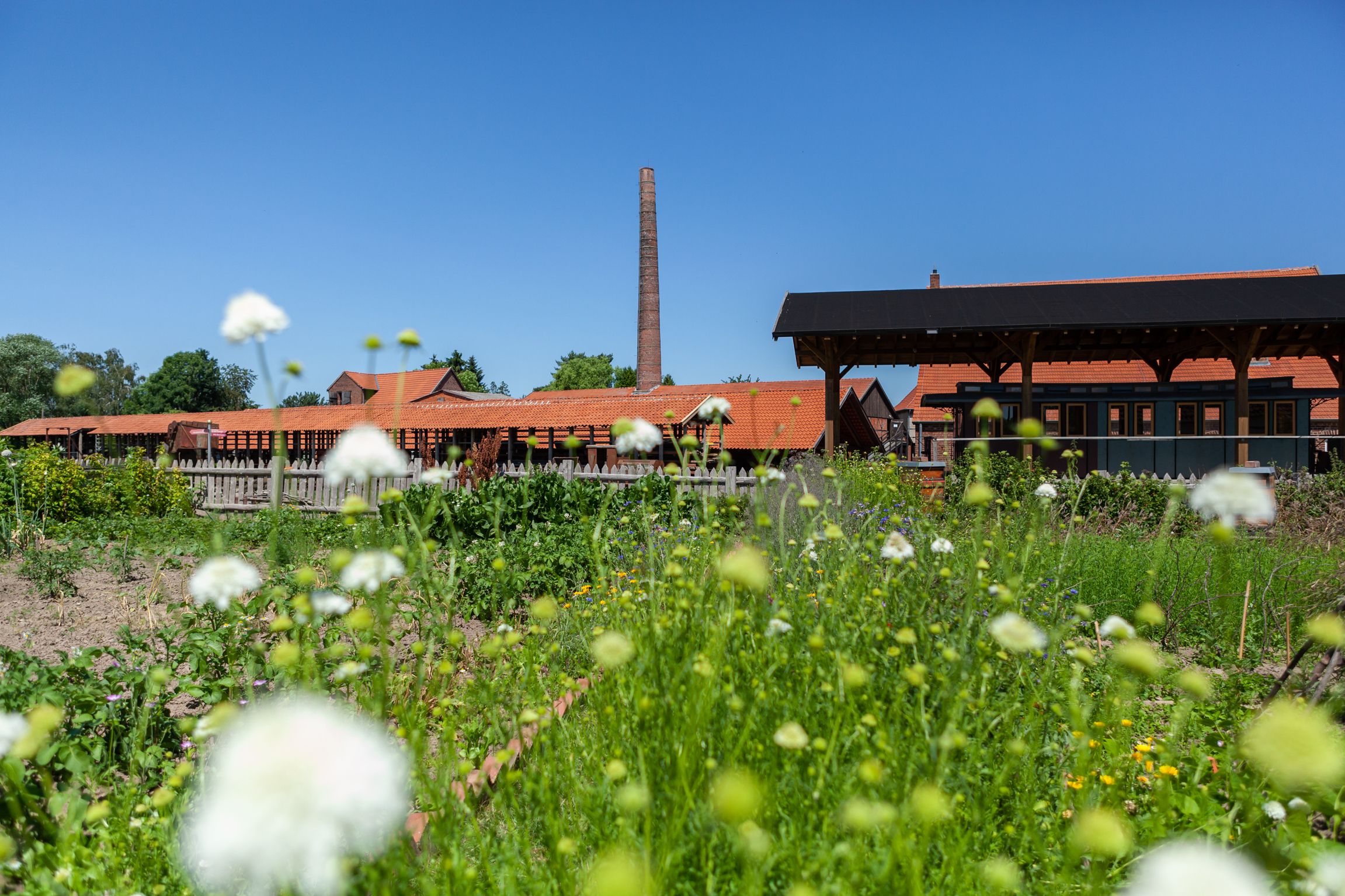 Exterior view of the LWL-Industriemuseum Ziegeleimuseum Lage with a view of a flower meadow