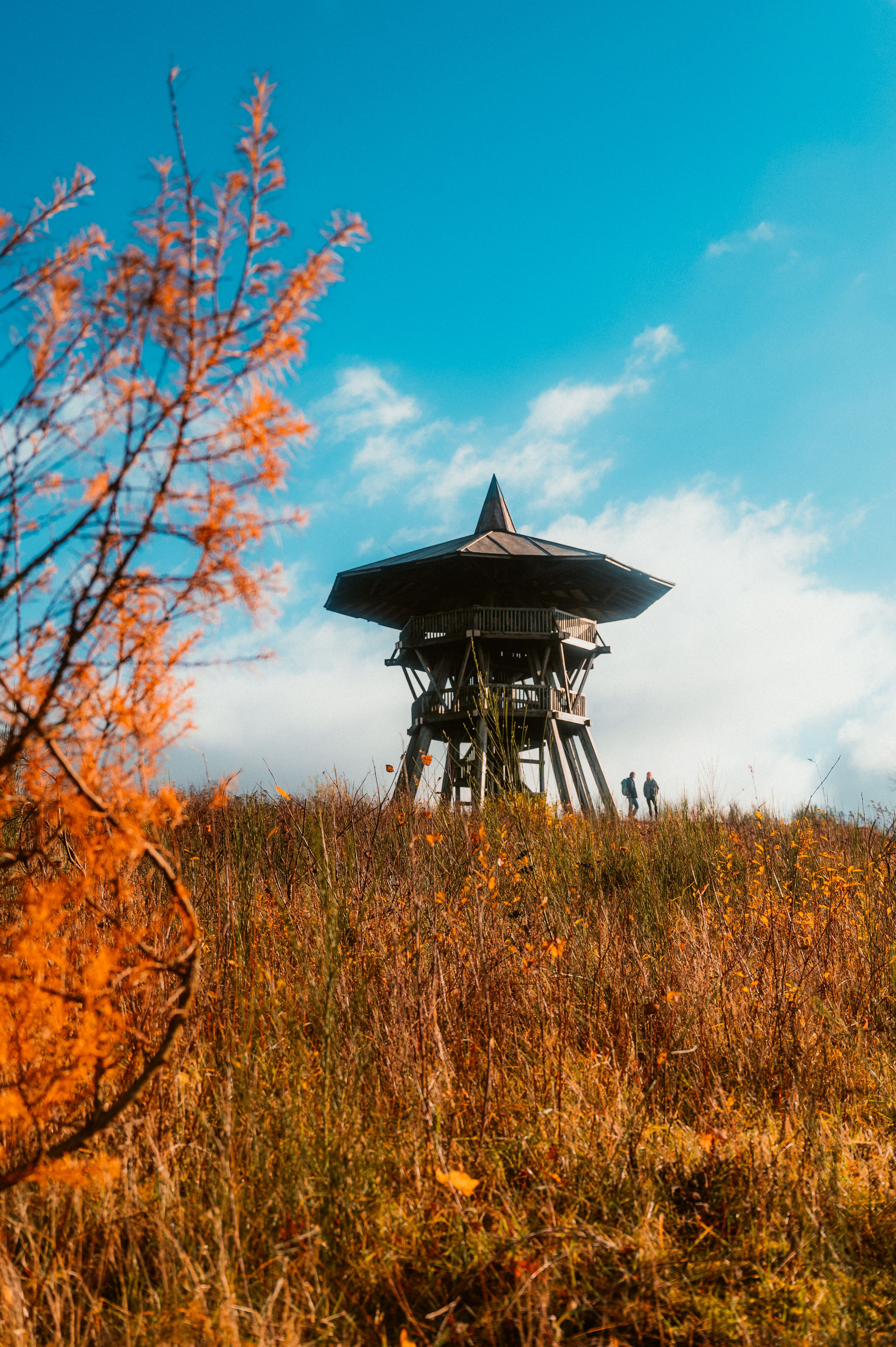 Eggeturm tower on Velmerstot hill in the Teutoburg Forest