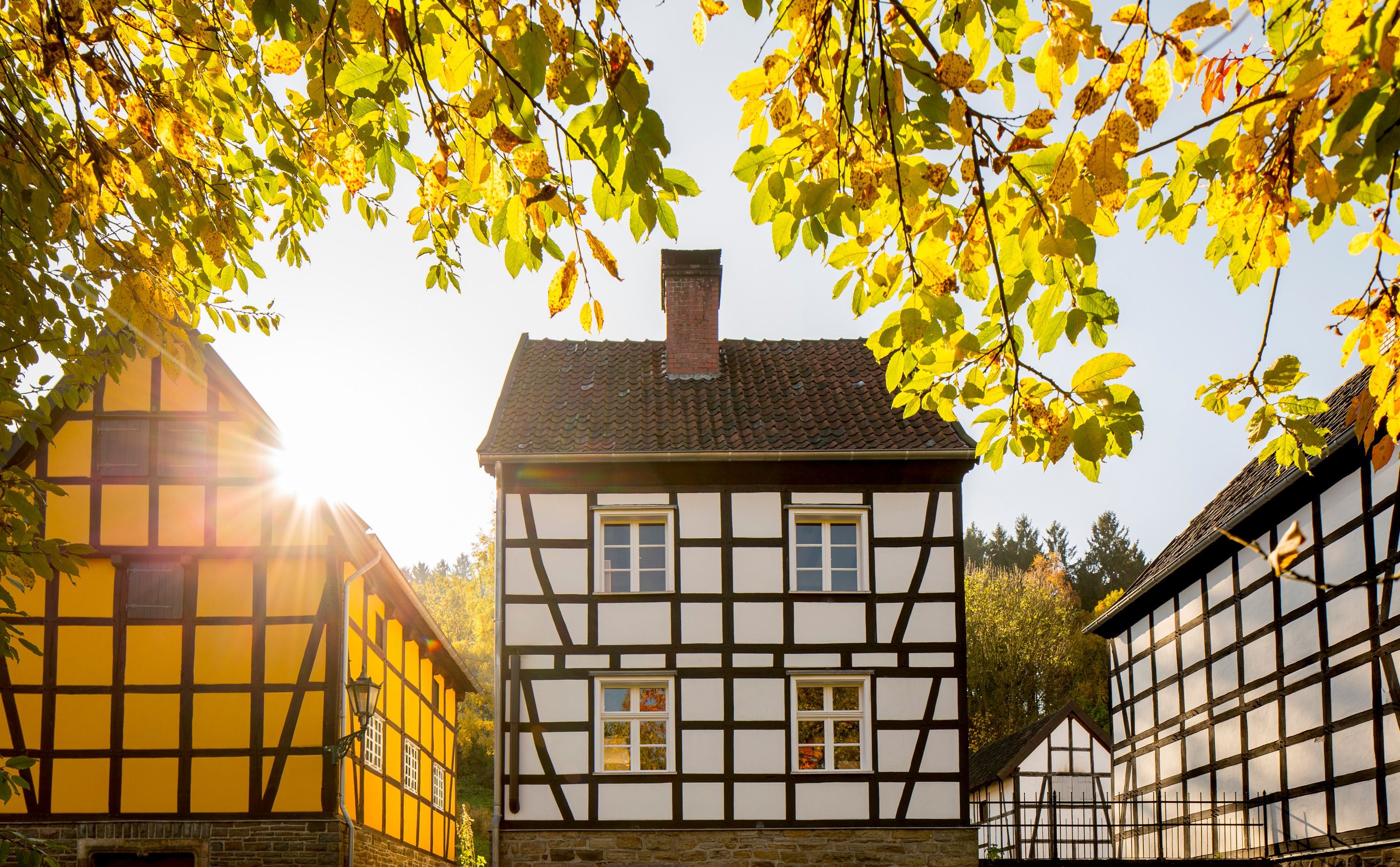 Rays of sunshine shine through the leaves onto half-timbered houses in the Hagen Open-Air Museum, surrounded by autumnal trees.
