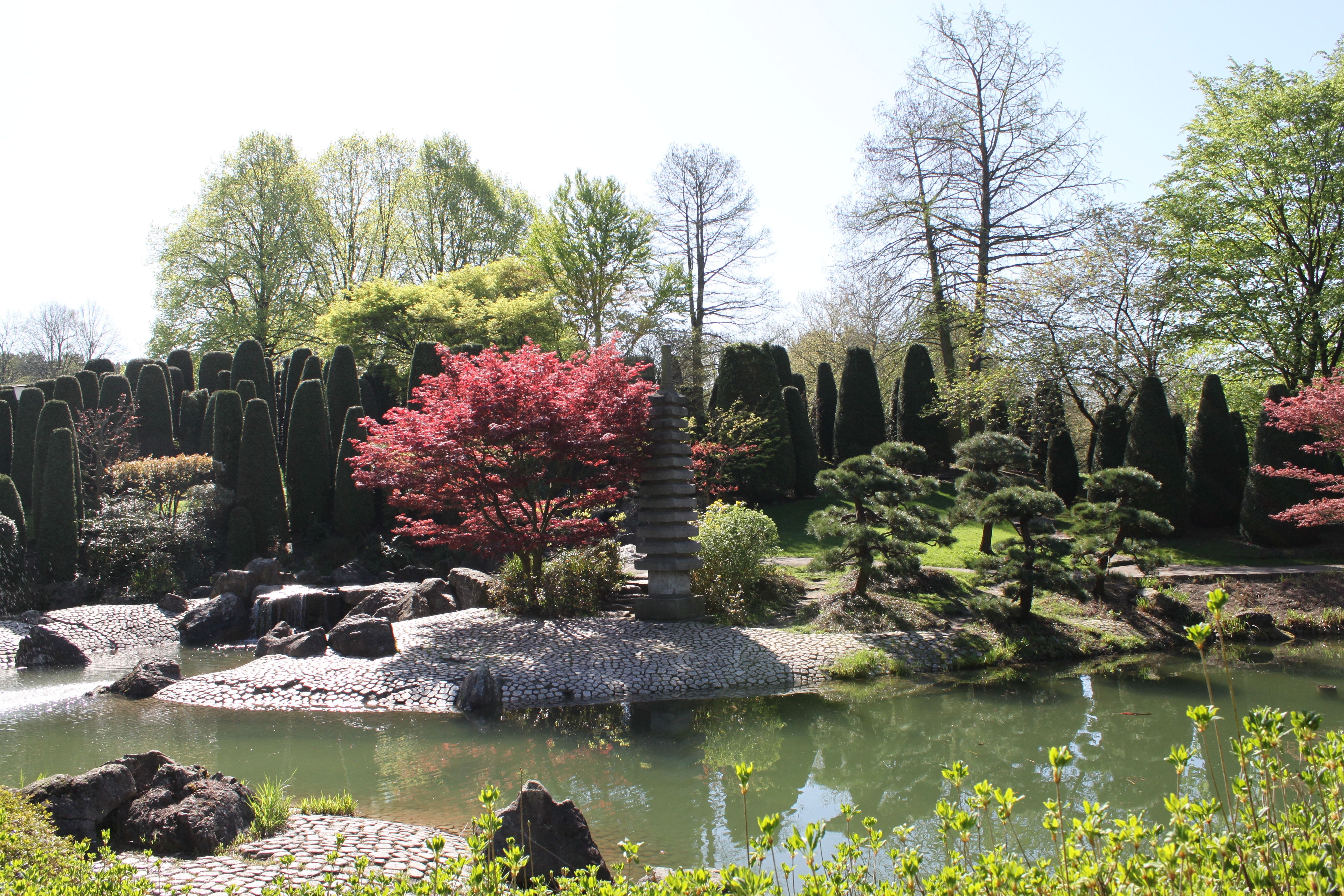 With its Zen elements, waterfalls and artistically designed bonsai trees, the Japanese Garden in the Rheinaue leisure park creates an atmosphere of harmony and tranquillity