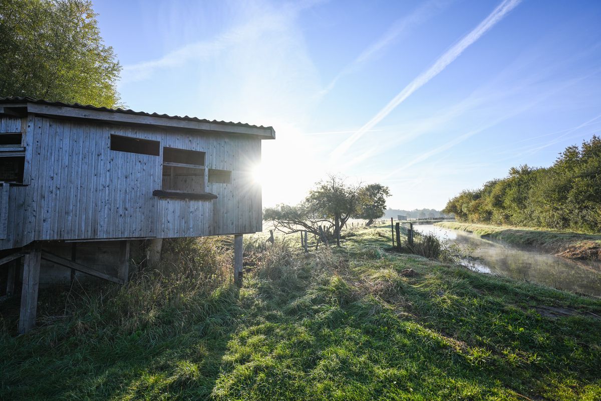 Rieselfelder nature reserve