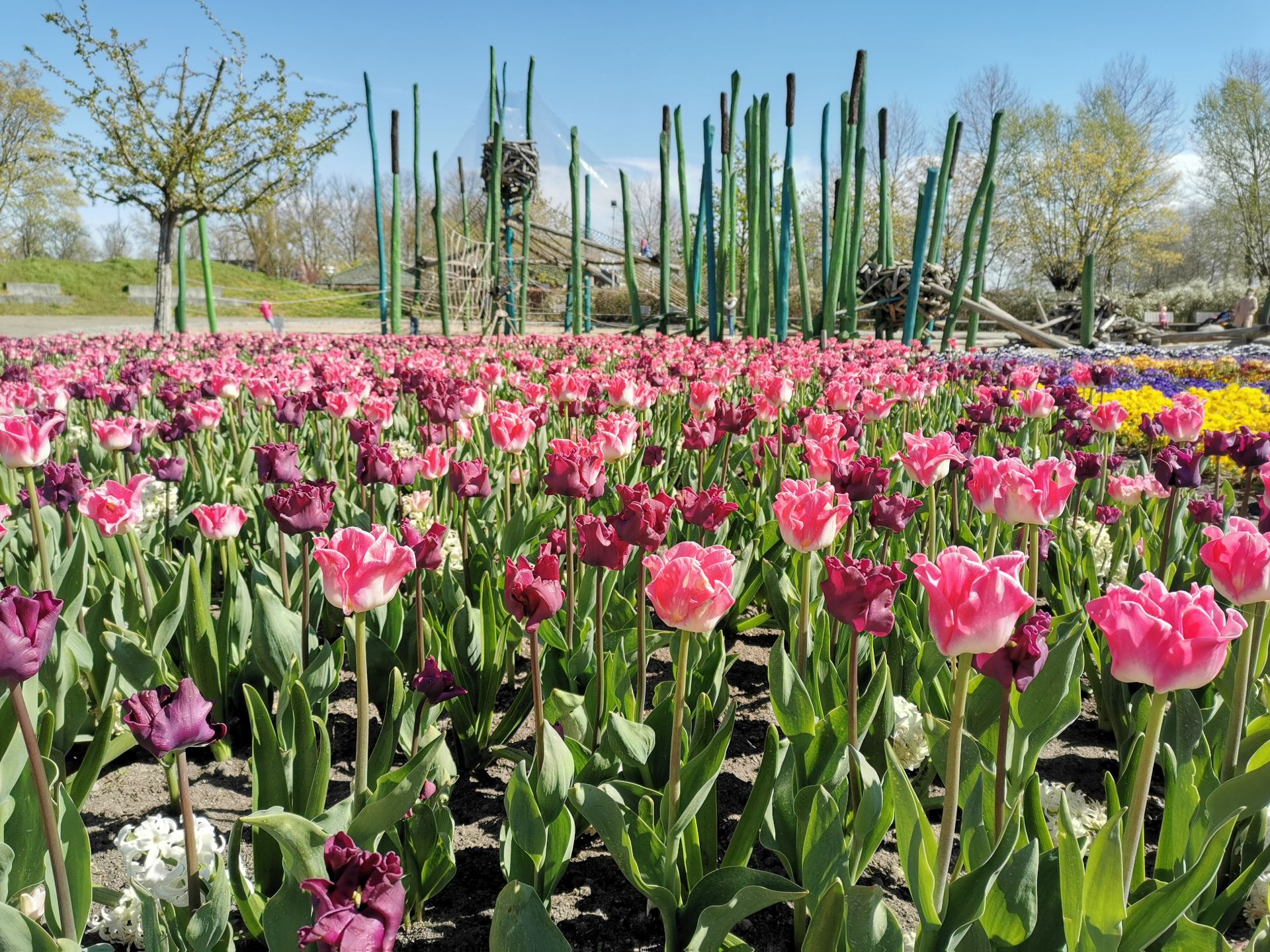 The Schilfwald climbing playground is located at the Mitte park entrance. It is surrounded by beautiful flower beds