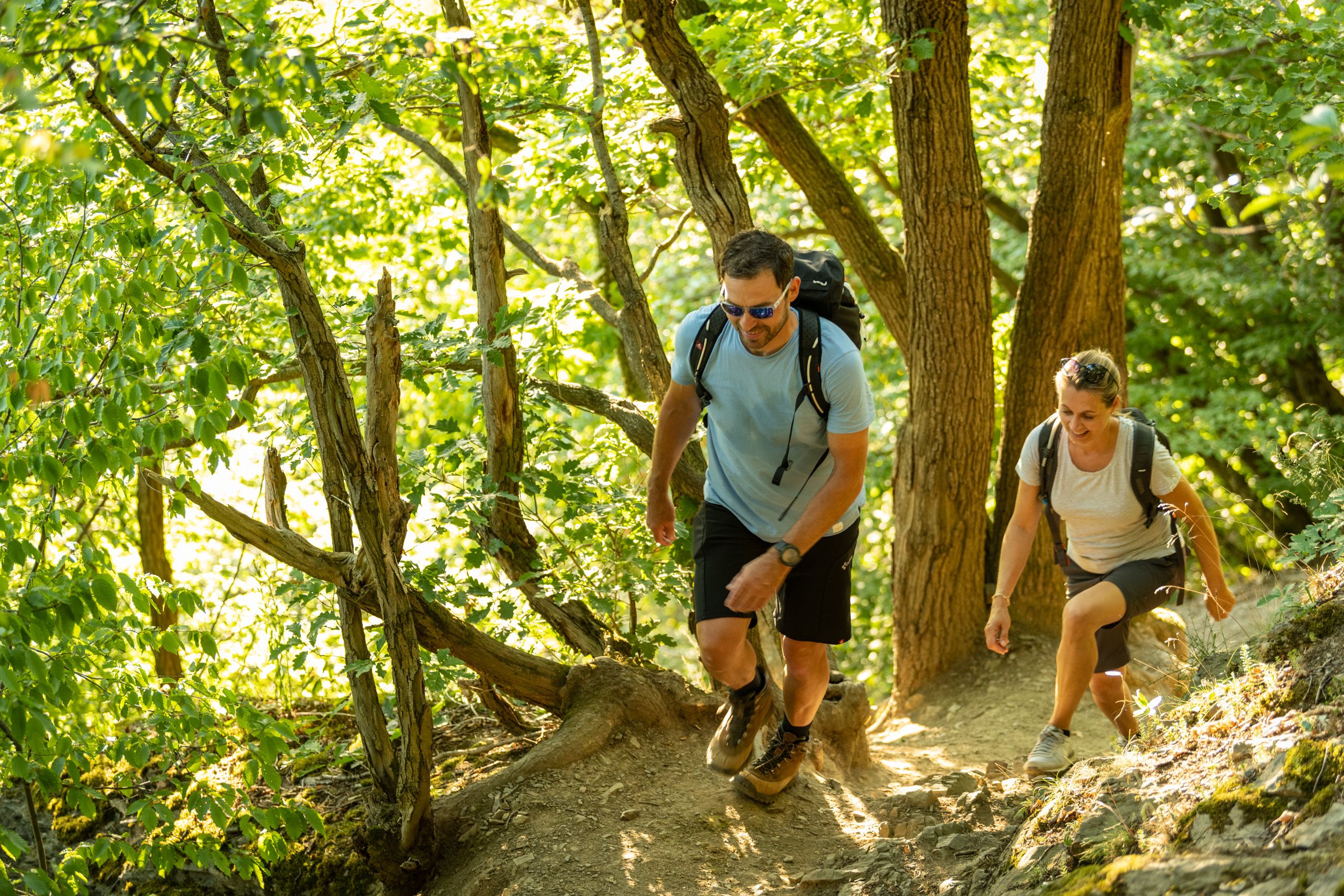 Path on the AhrSteig