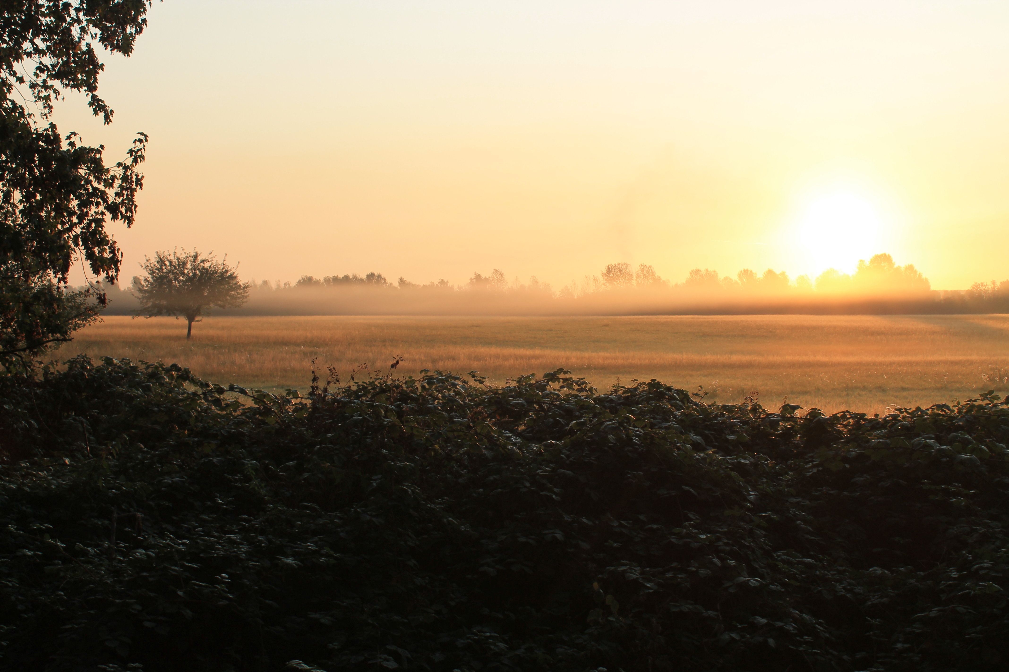 To Page The Erft Bike Path