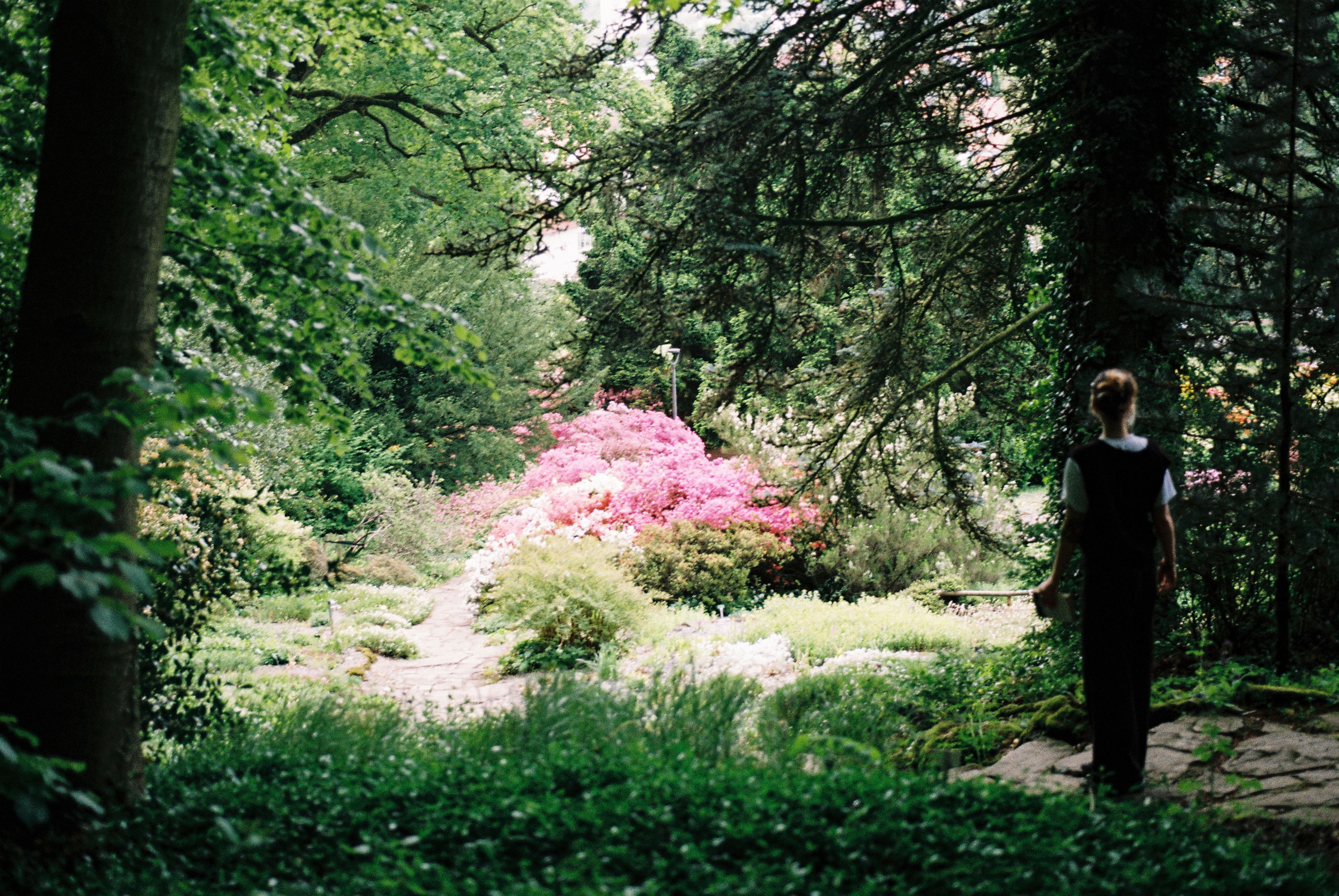 To Page Bielefeld Botanical Garden 