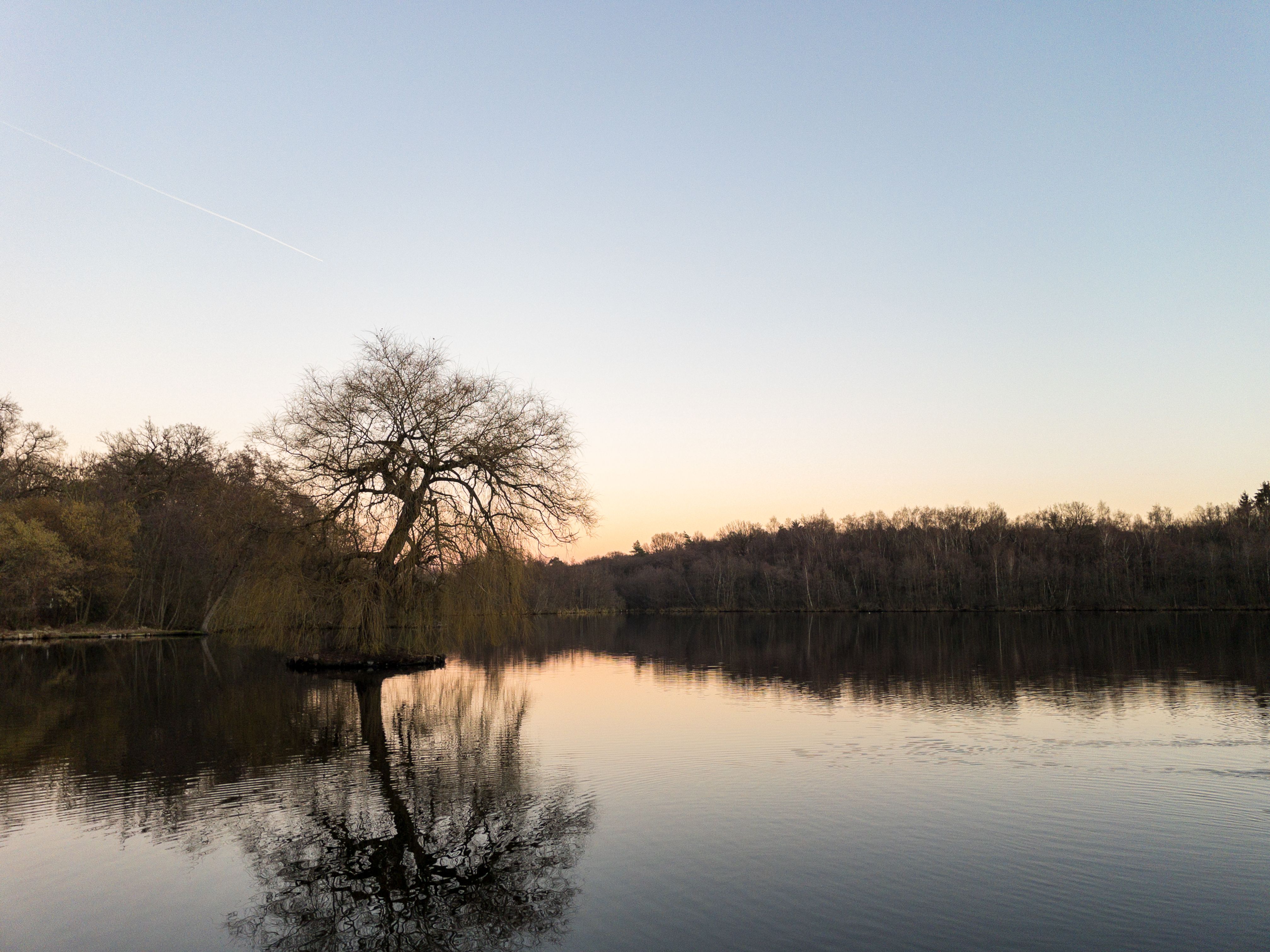 20230207_Holtmühlen-Pfad_Dämmerung am Mühlenweiher_1-© Till Ermecke