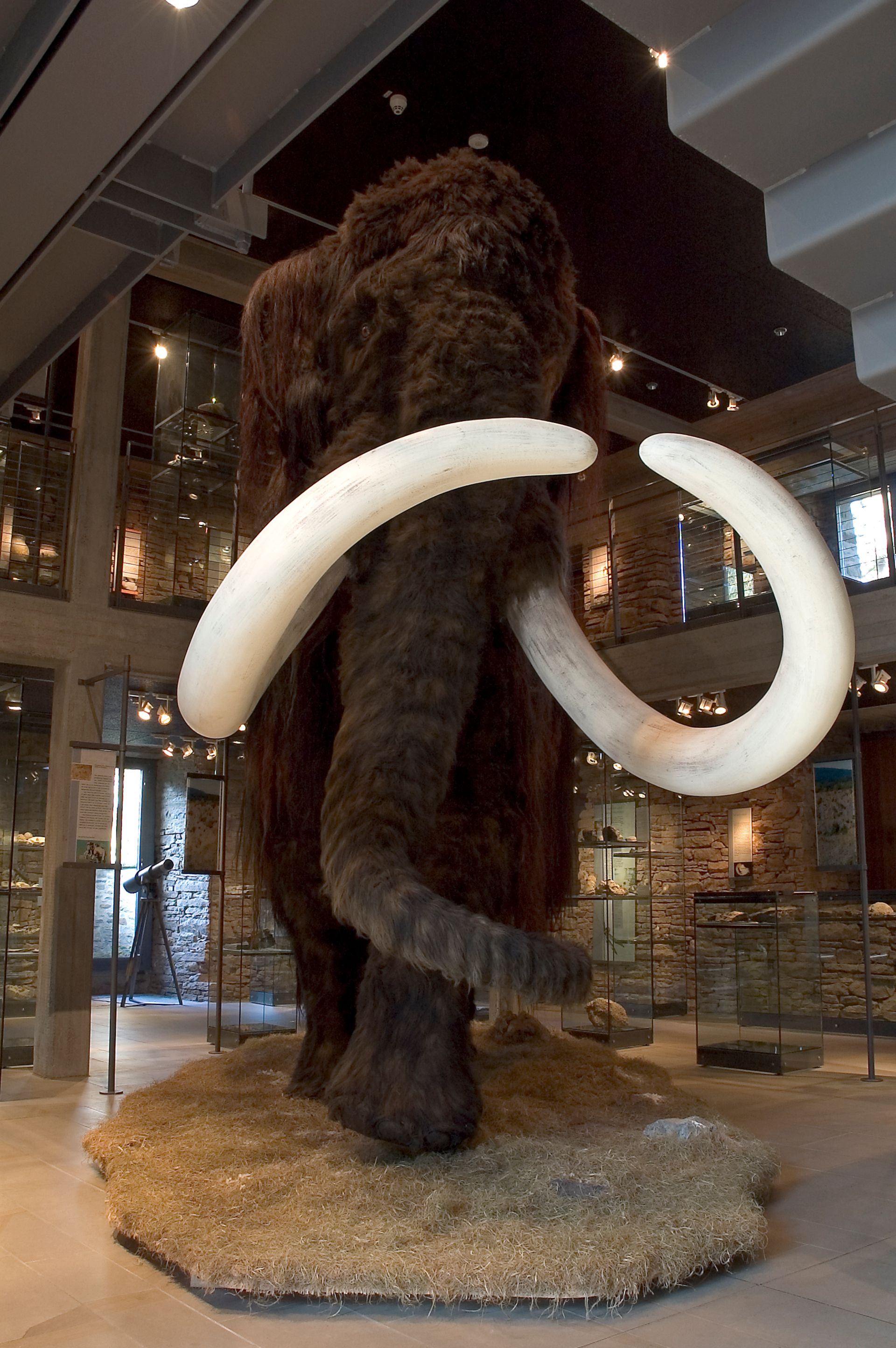 A metre-high mammoth welcomes visitors of all ages to Werdringen Water Castle.