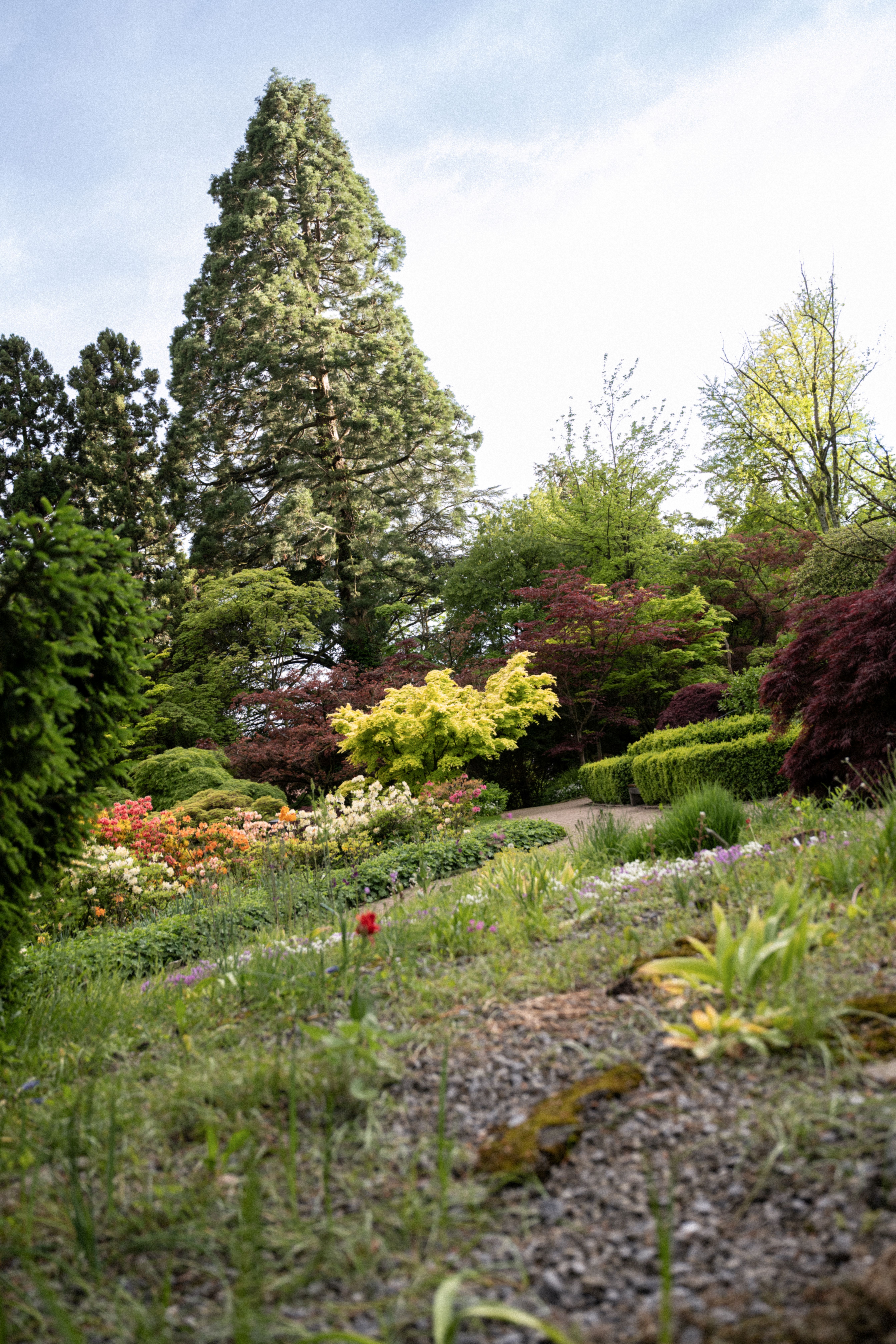 Botanischer Garten Bielefeld