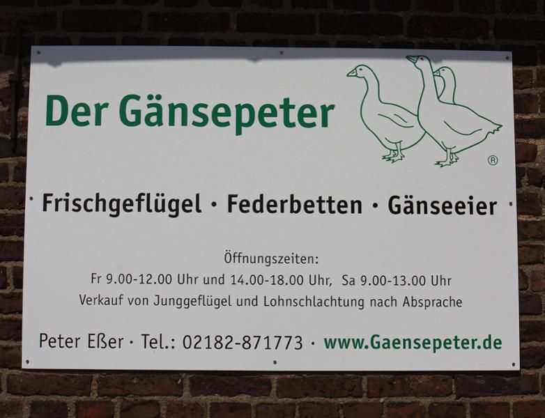 hofschild-gaensepeter-gbr_maxibild-800-x-600