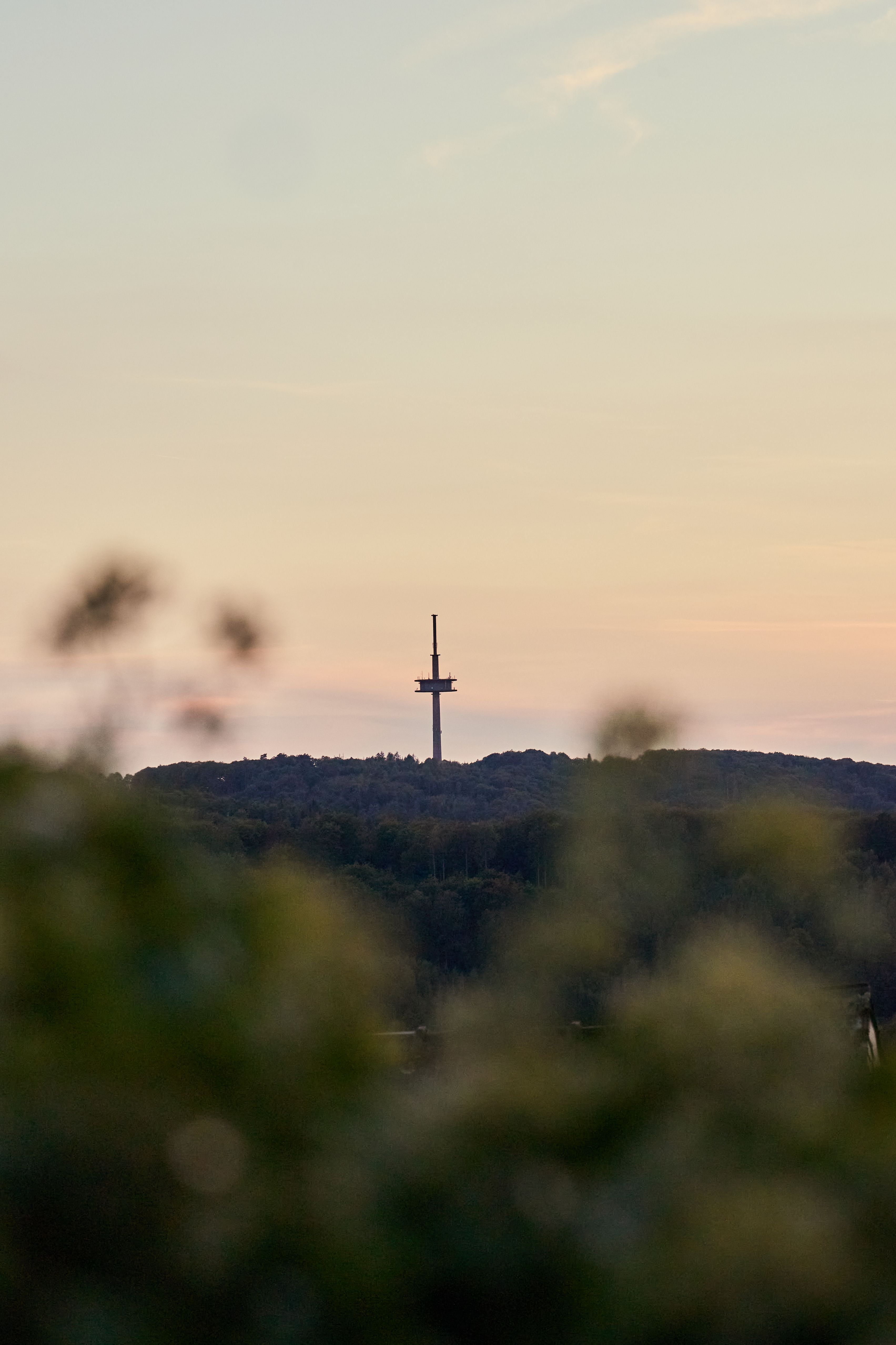 From the heights around Burg Castle, individual landmarks can be identified