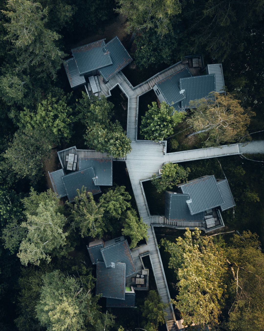 Bird's eye view of the tree houses at Panarbora Youth Hostel