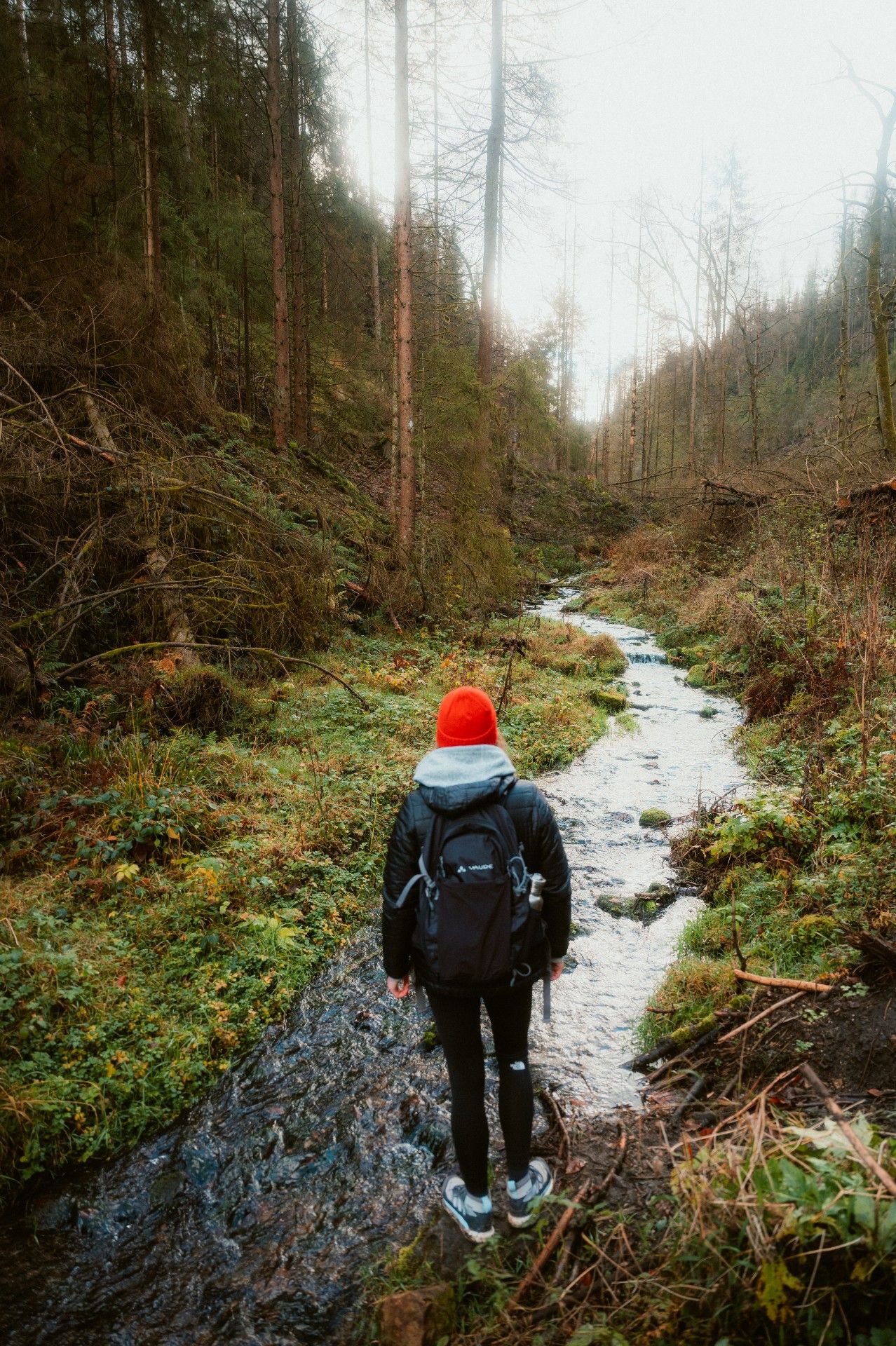 Silberbachtal, Teutoburg Forest