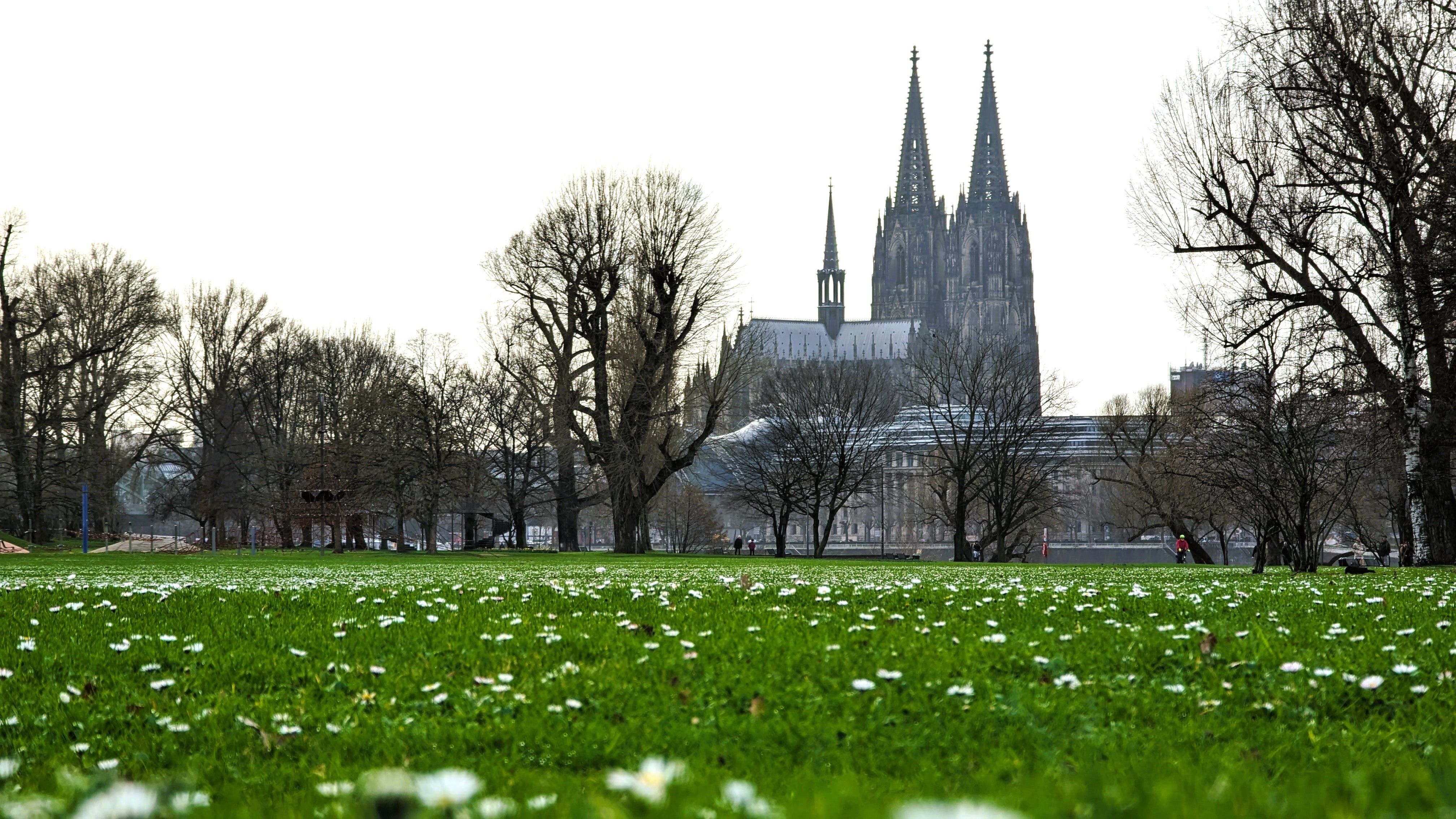 To Page Rheinpark Cologne