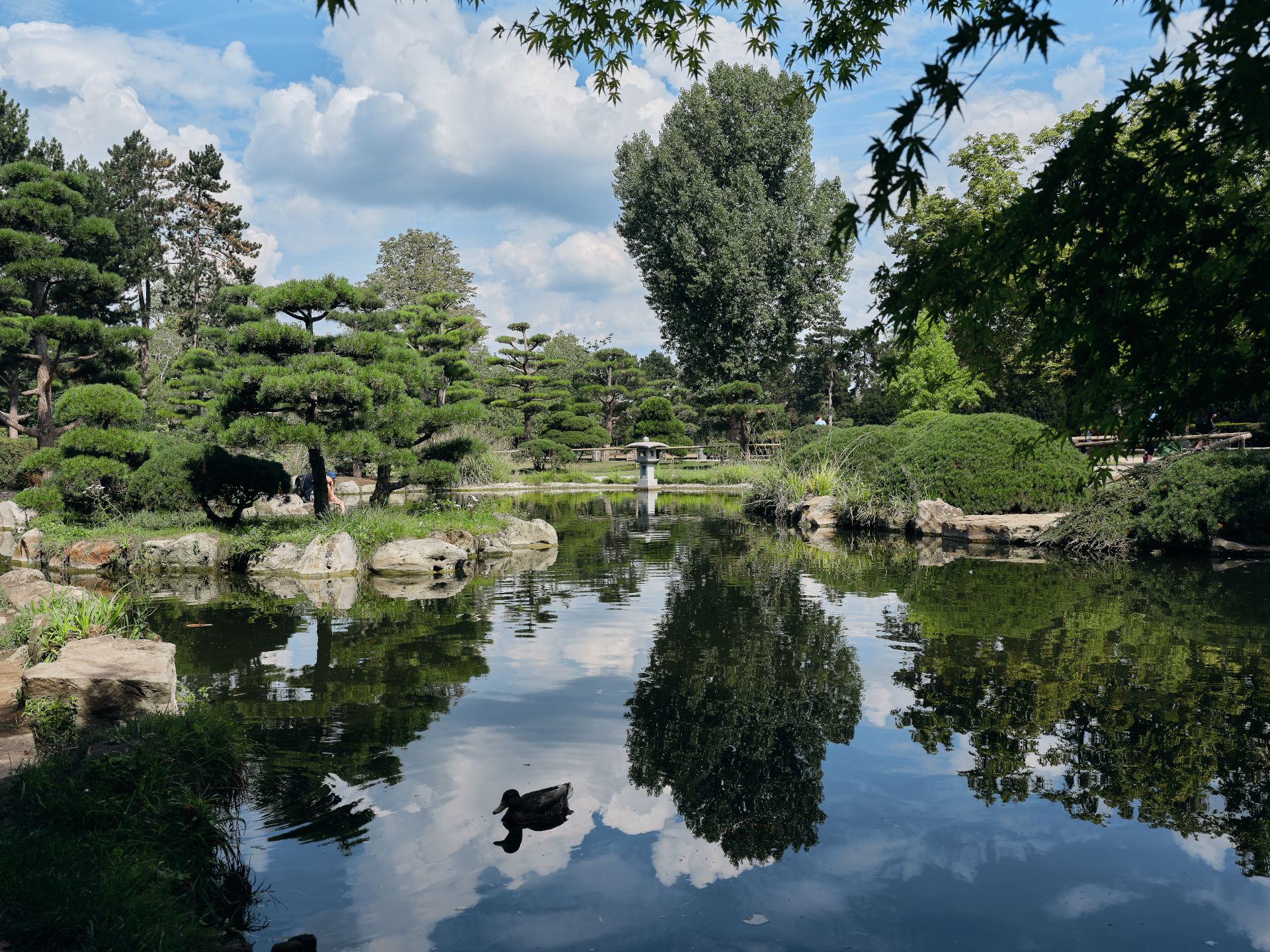 The Japanese Garden in Düsseldorf's Nordpark radiates tranquillity.
