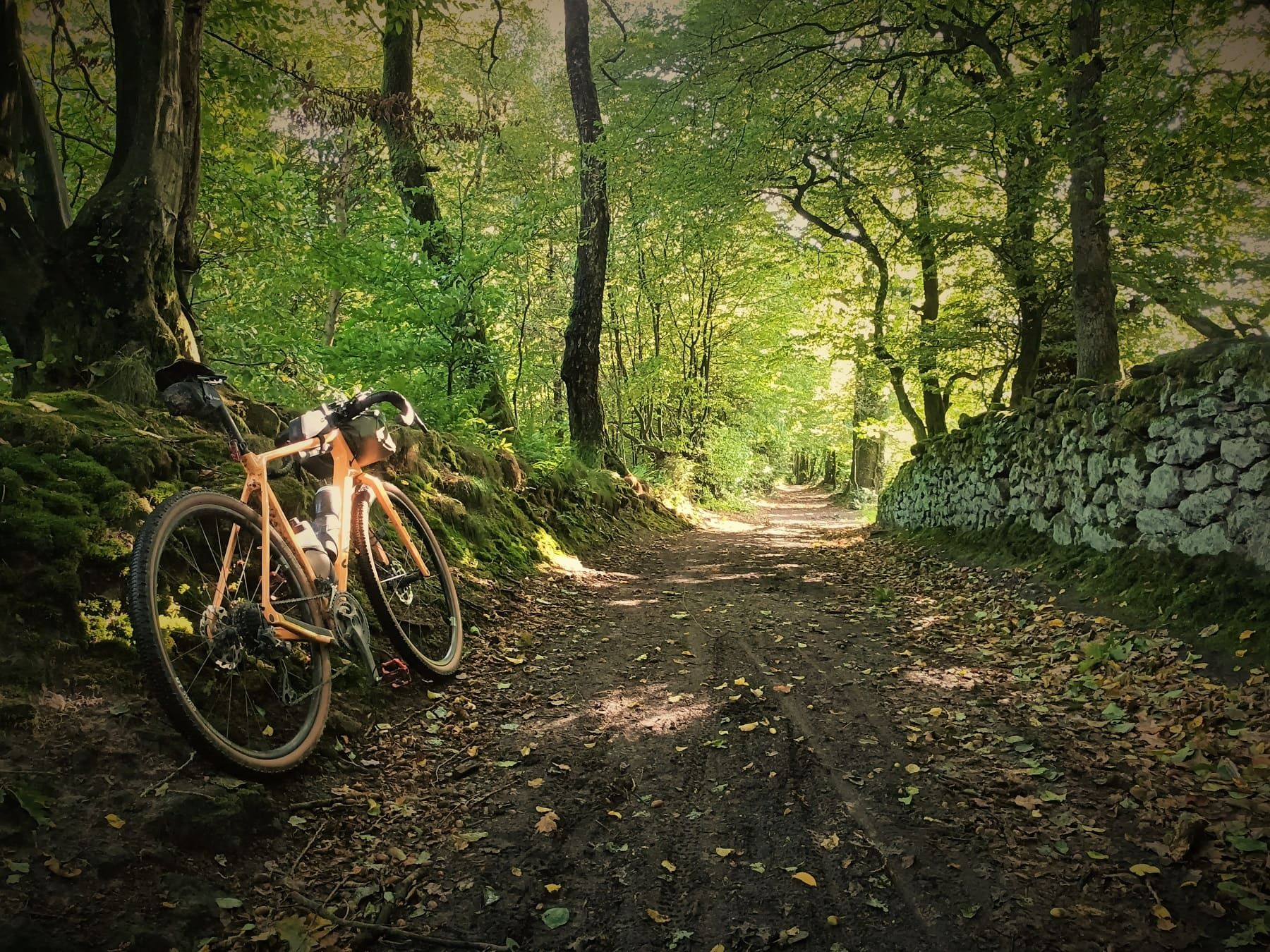 To Page Münsterland Gravel-Transversale - experience nature, water and cultural history