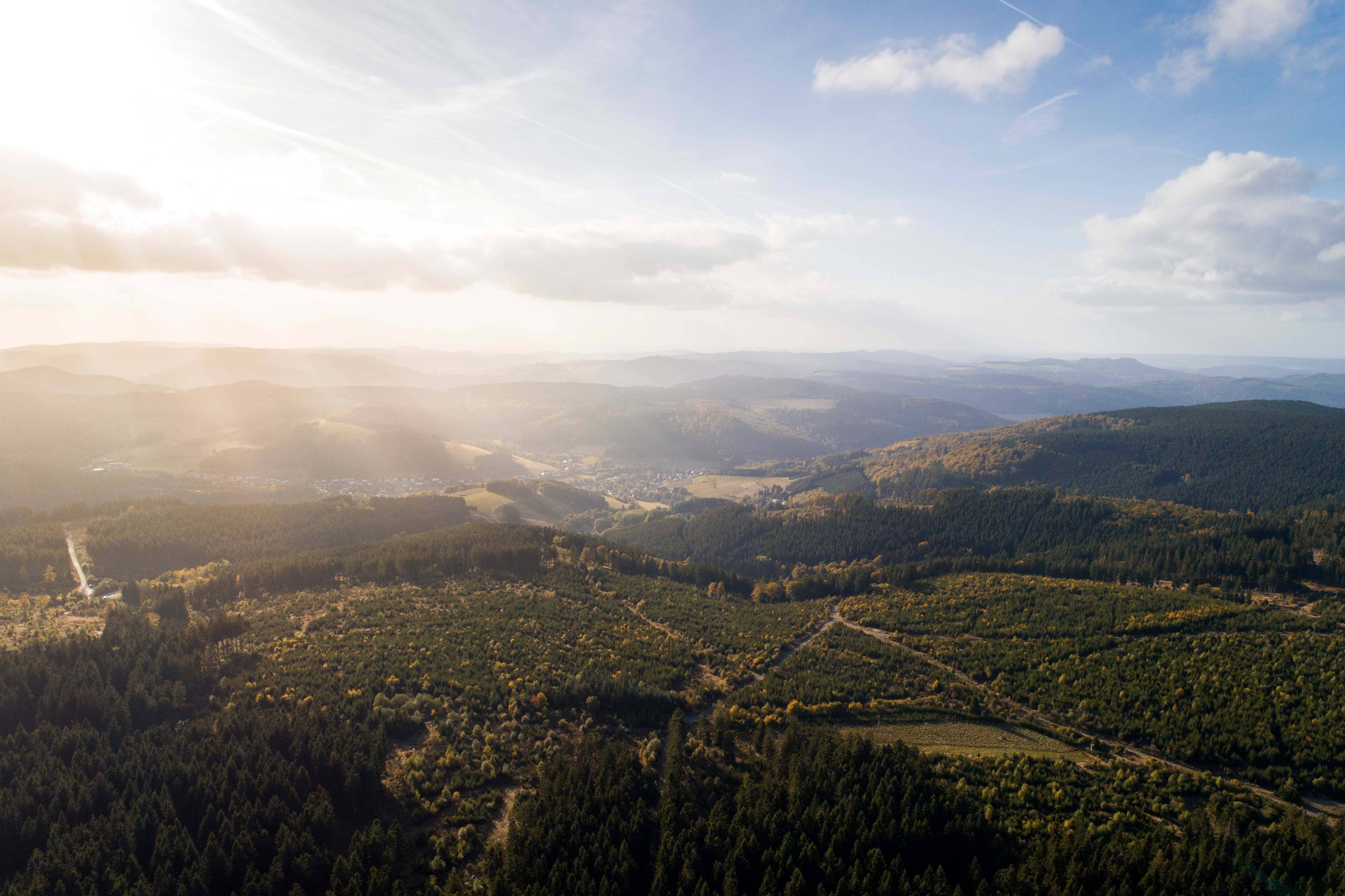 To Page Sauerland