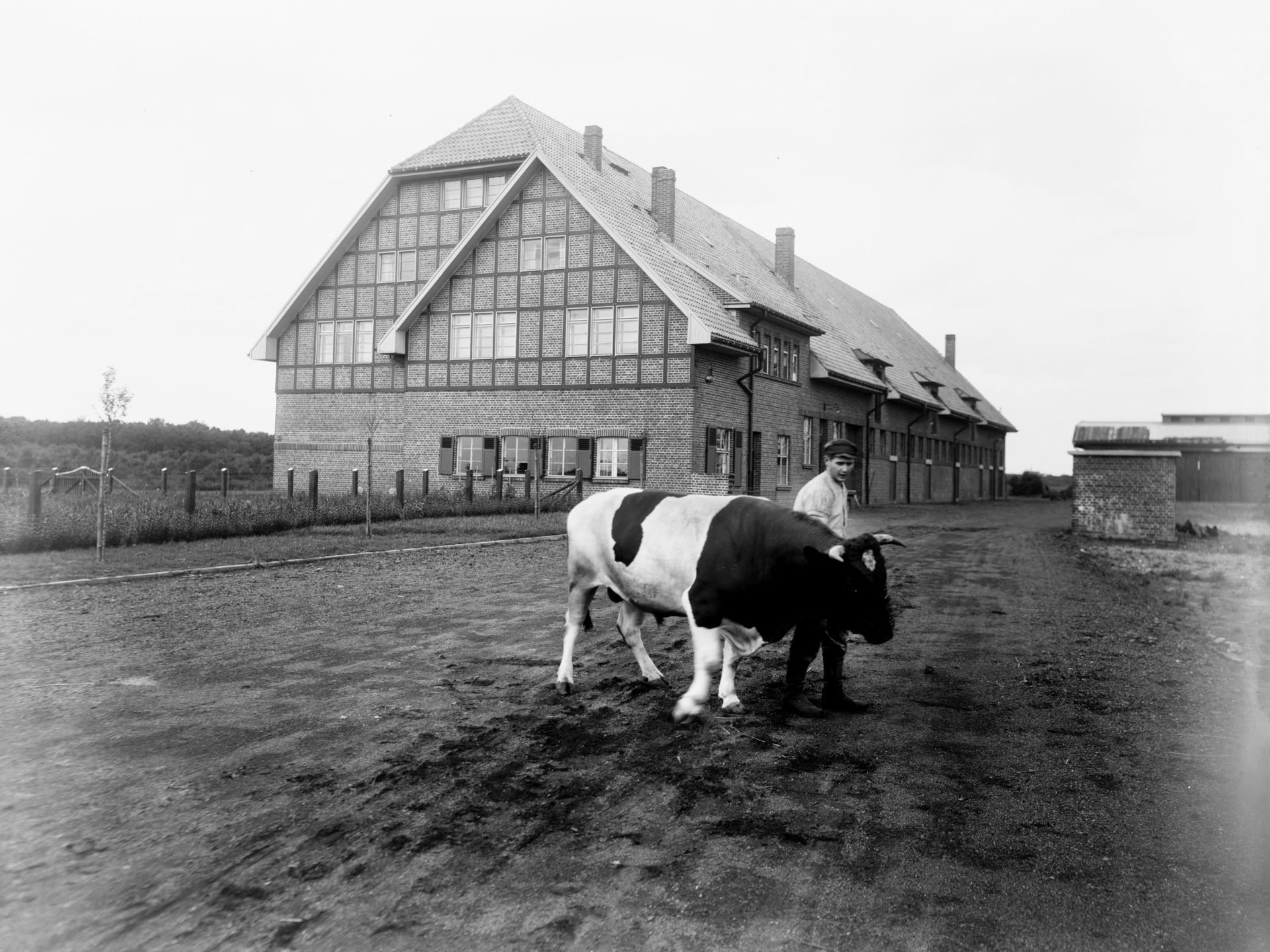 Fernewald estate, 1928
