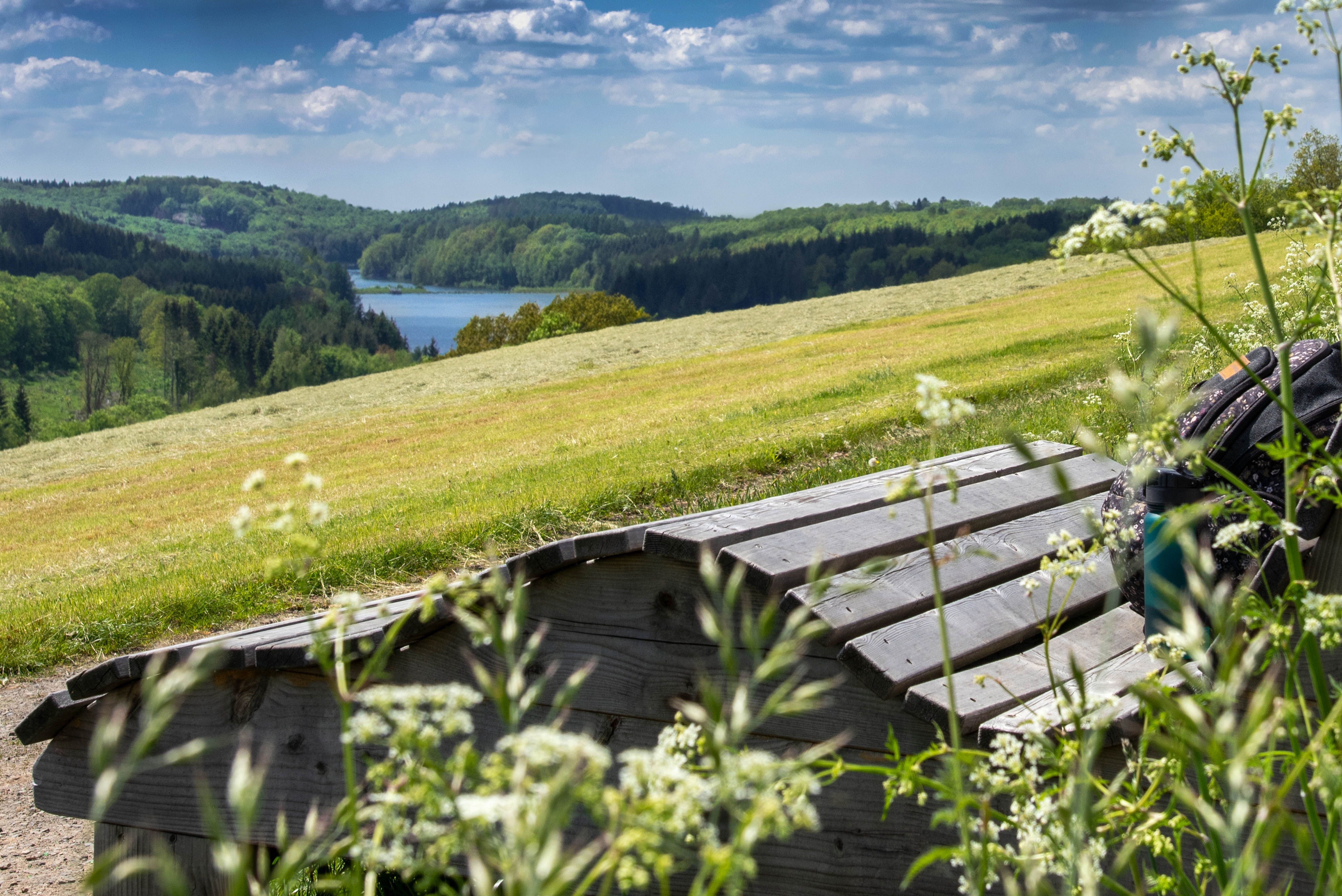 Forest sofa hiking trail