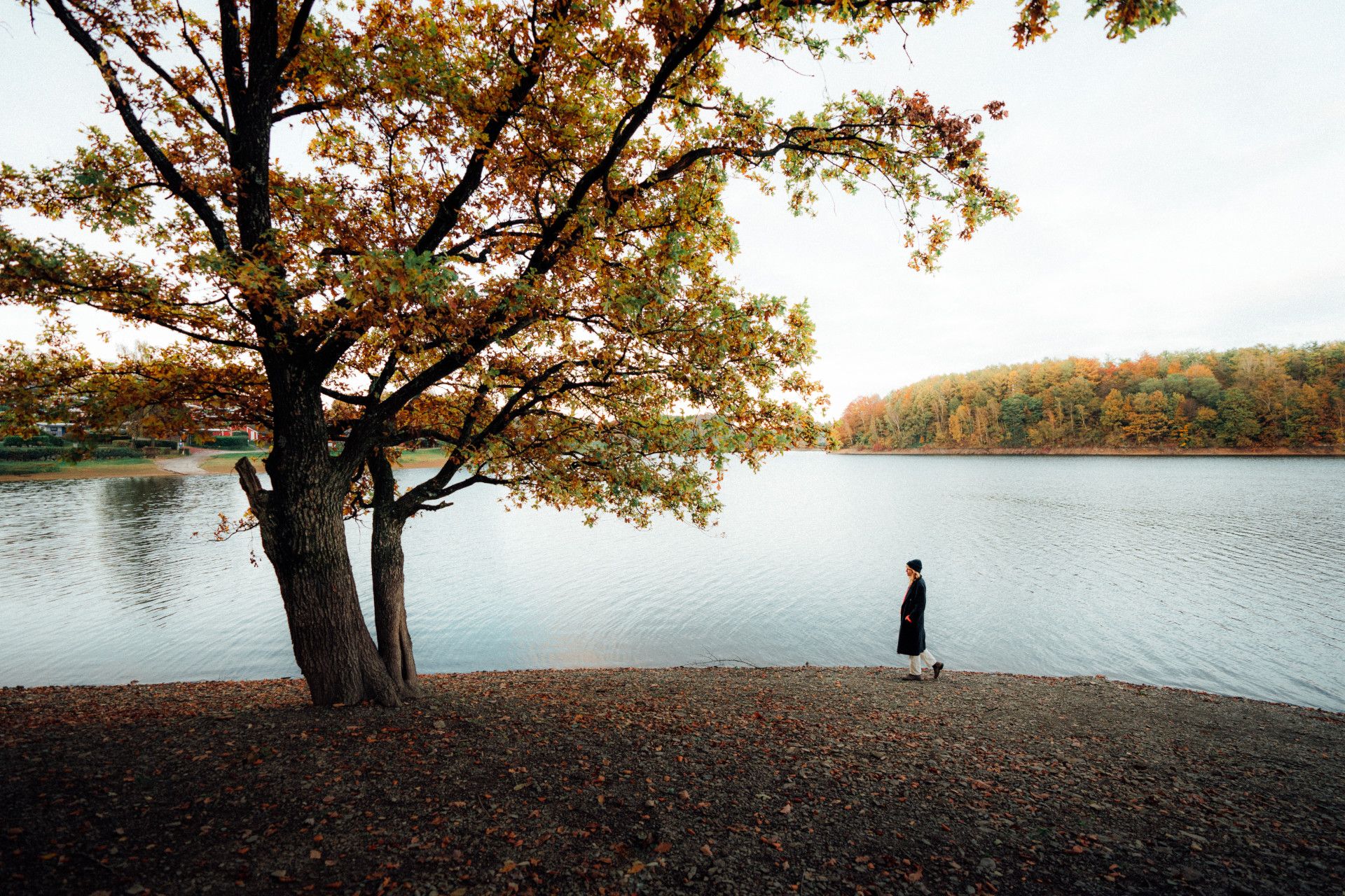 Woman at Neyetalsperre in the fall