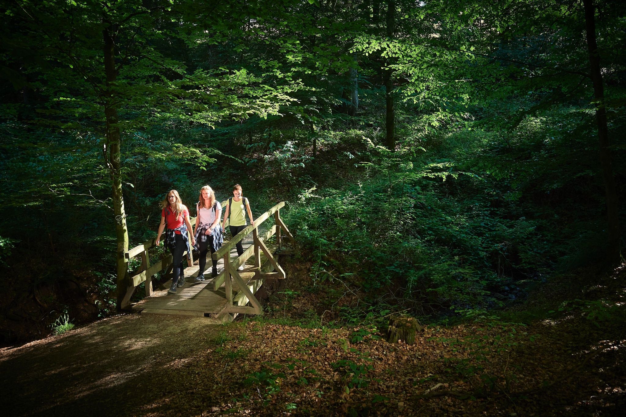Bridge at the Brombach forest rest area