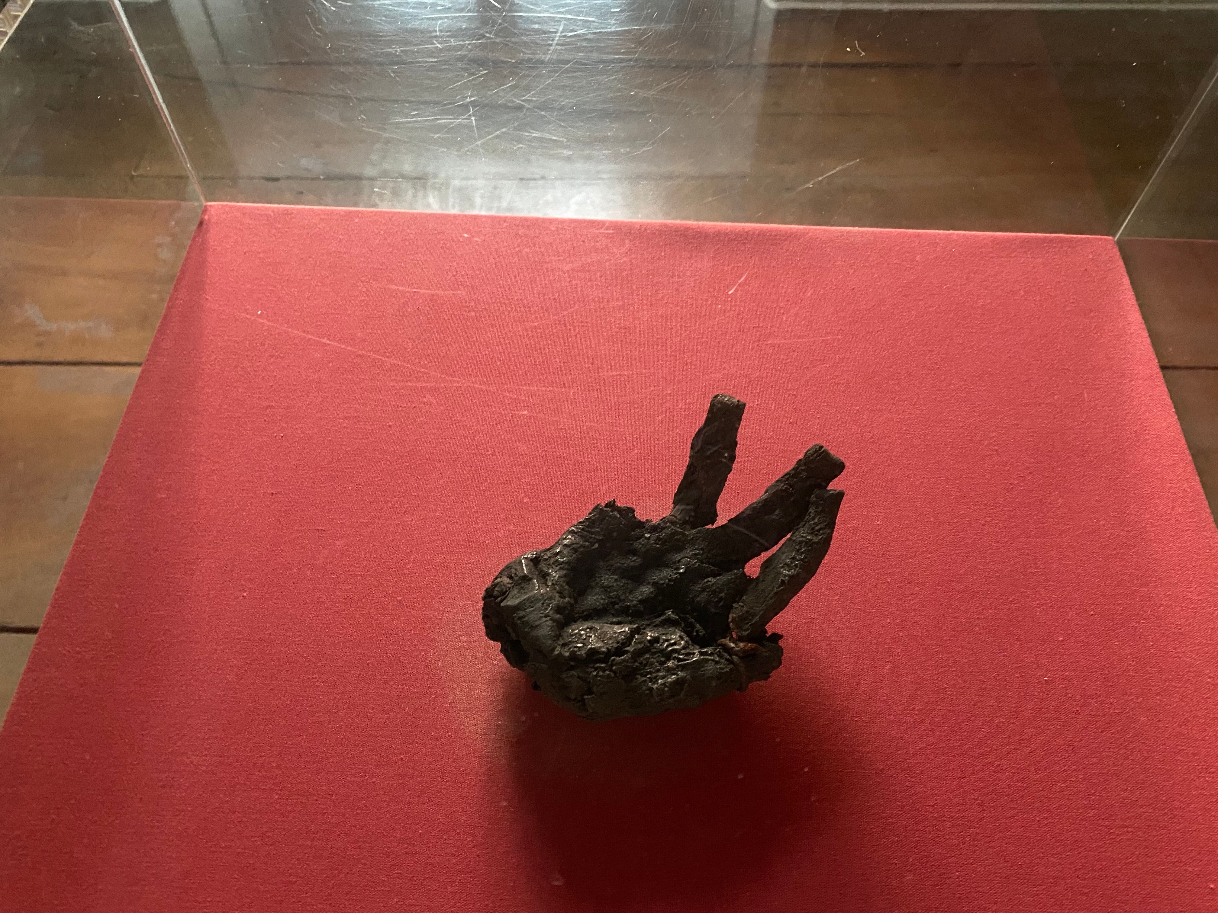 Mummified "Black Hand" lies in display case at Hohenlimburg Castle