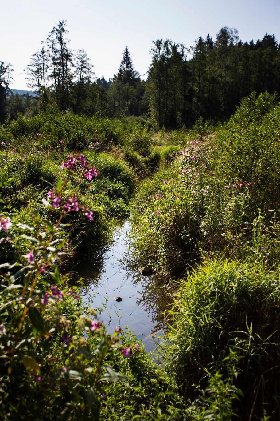 To Page Möhnetal Radweg
