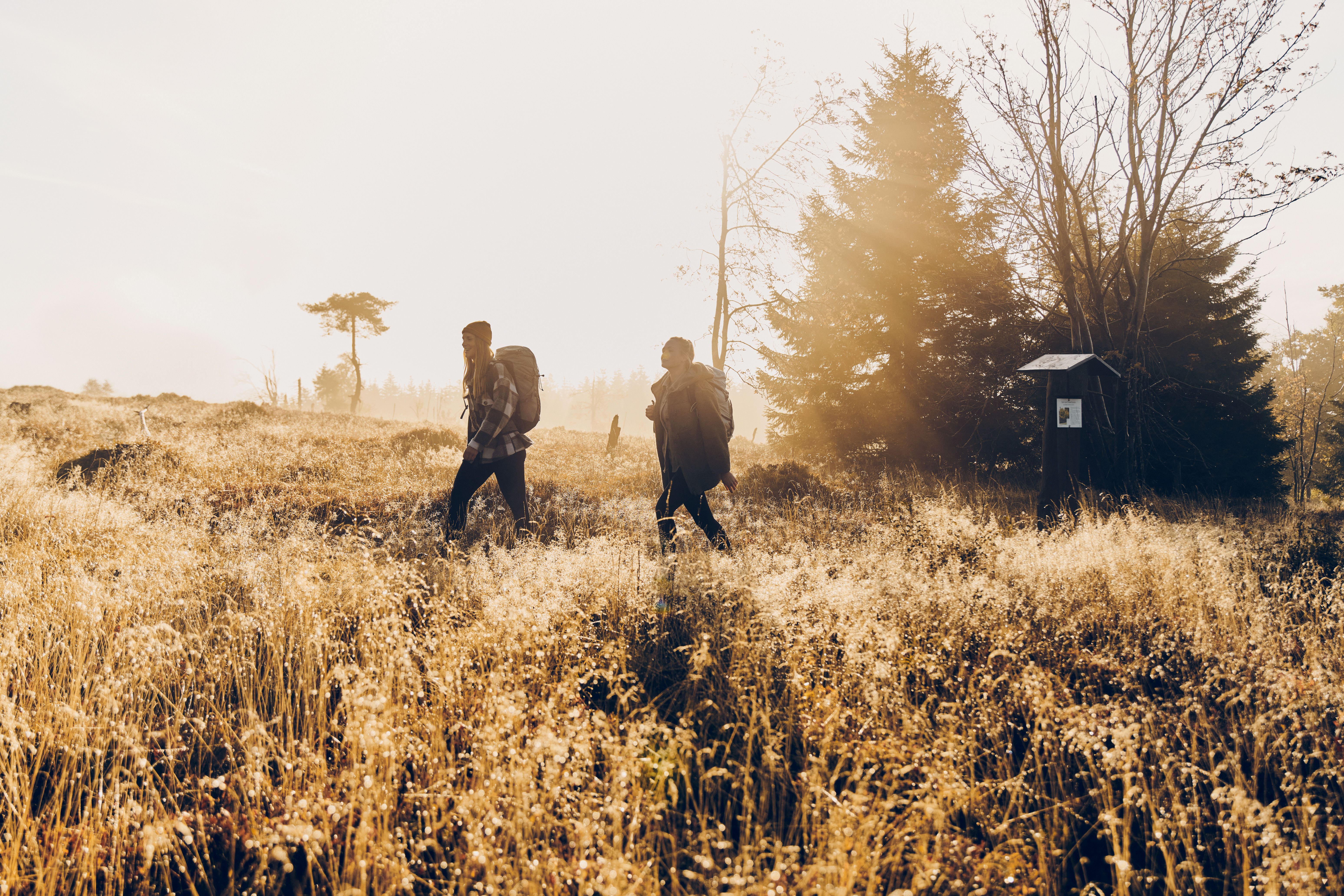 Two hikers on the trail in the Sauerland region