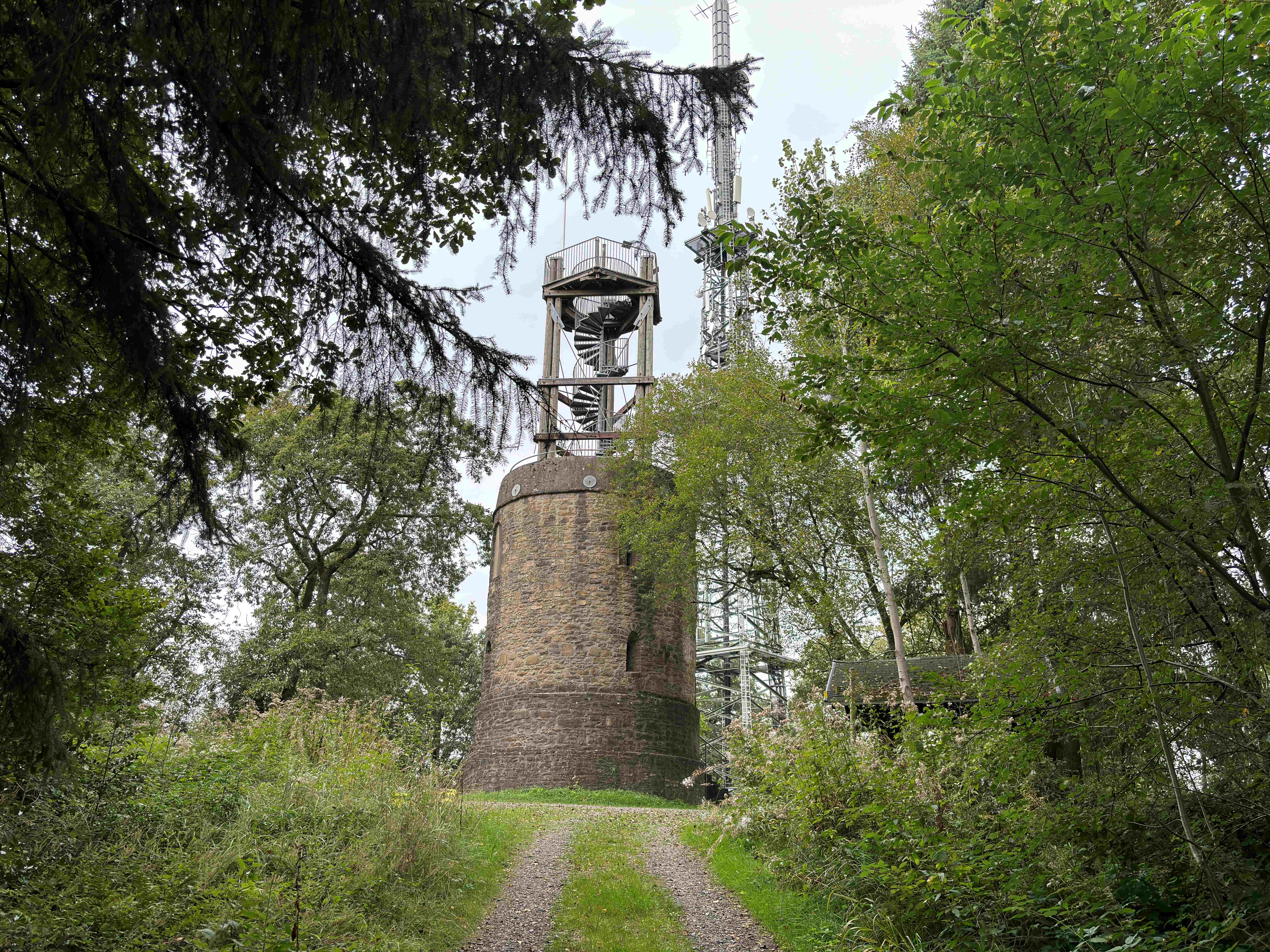 Hohe Warte observation tower surrounded by trees