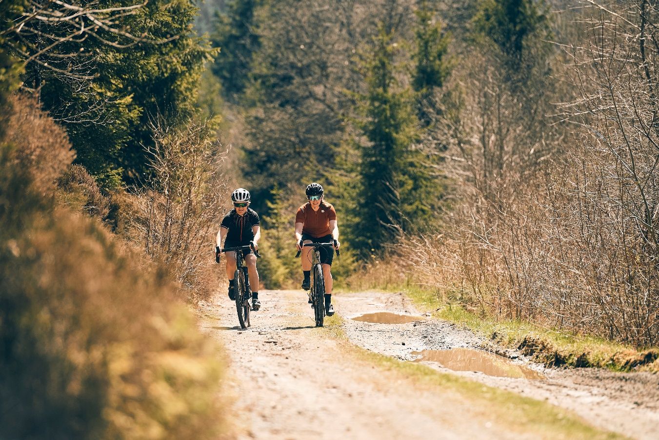Two people are riding gravel bikes on an unpaved forest path in the Sauerland.