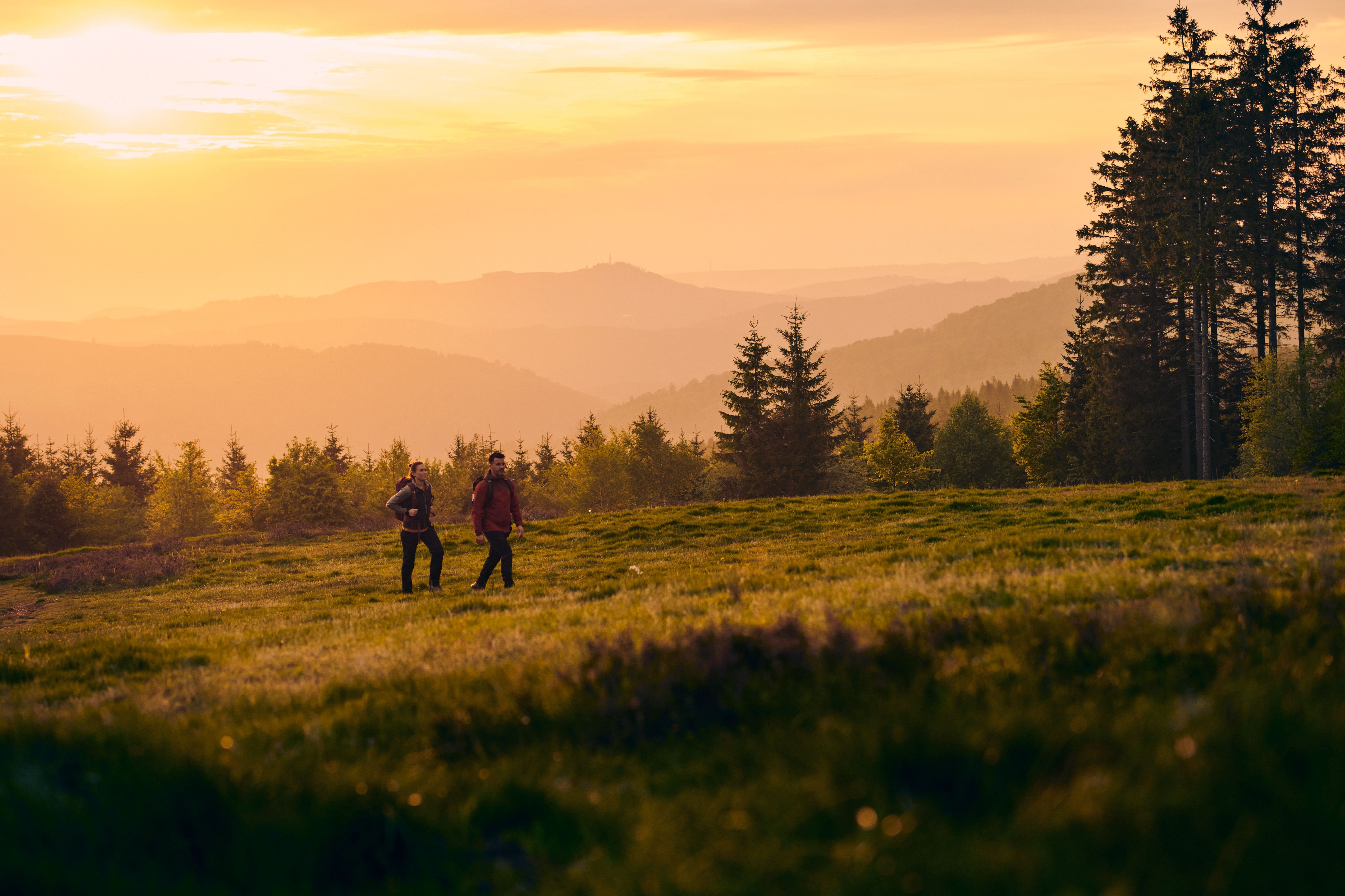 A couple hiking on the Rothaarsteig trail in the Sauerland region