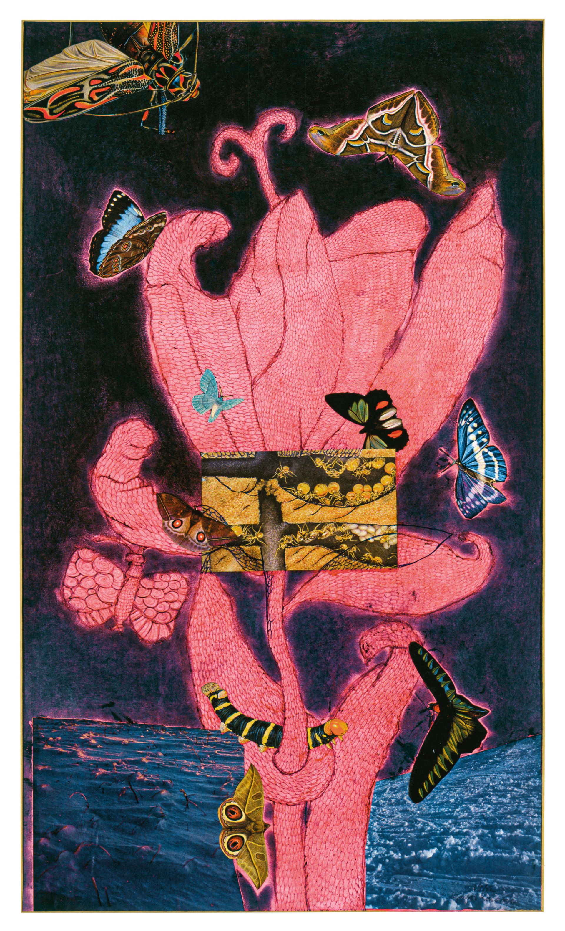 Yayoi Kusama, Self-Portrait, 1972, collage, pastel, ballpoint pen and ink on paper, 74.4 × 44 cm, collection of the artist