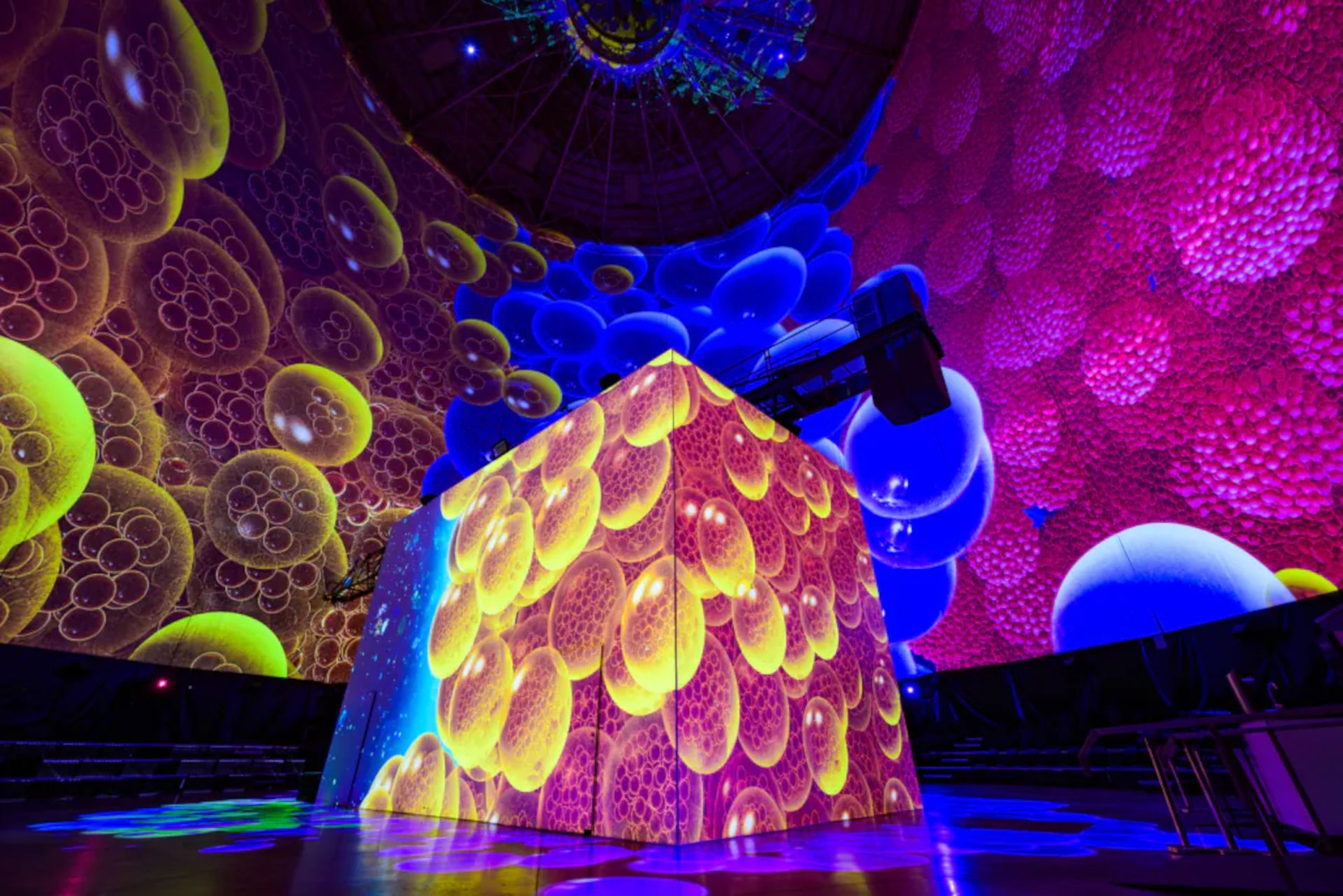 The "ORIGINS" show promises a journey to the origin of all life