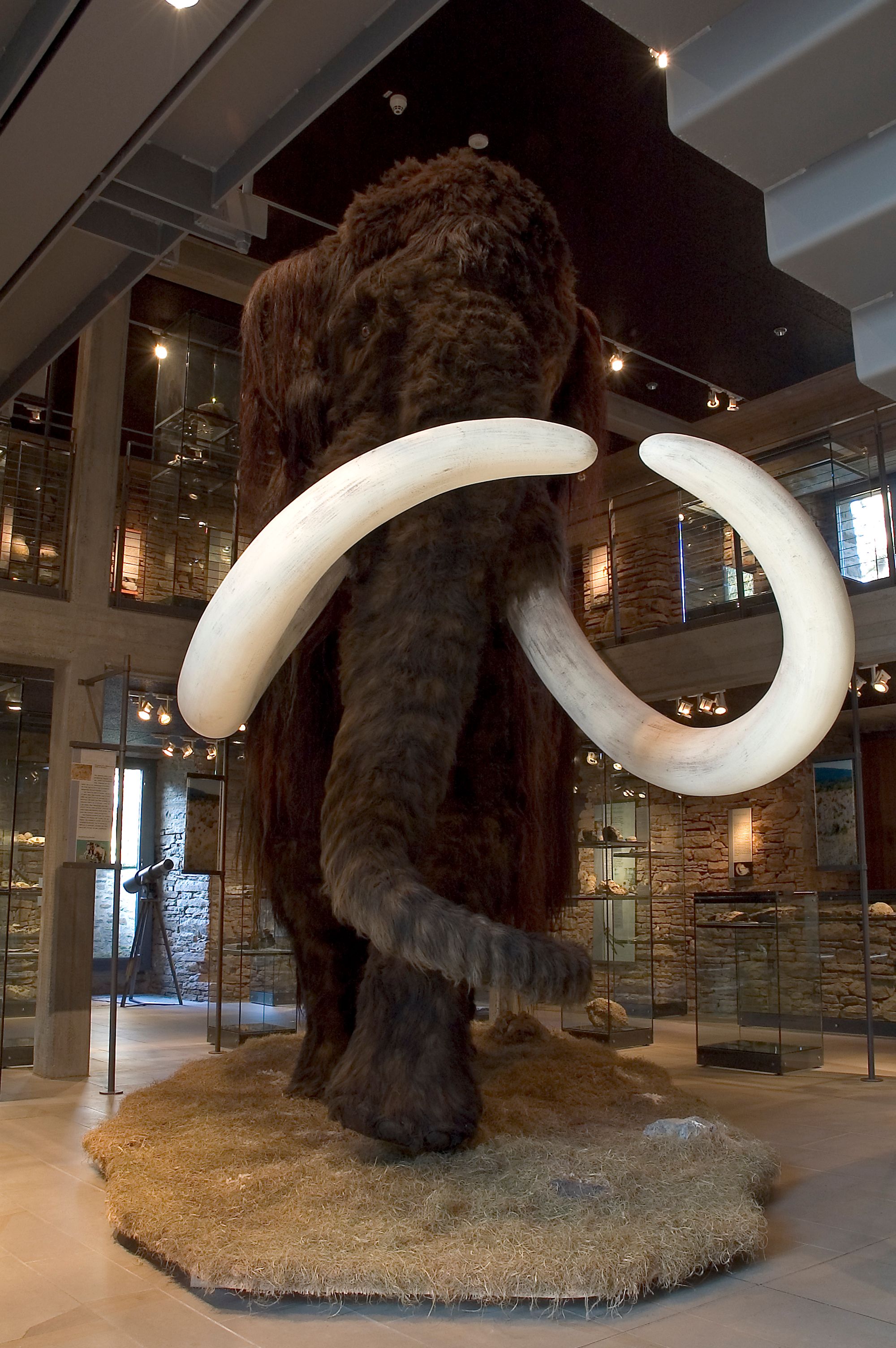 A meter-high mammoth welcomes visitors of all ages to Werdringen Castle