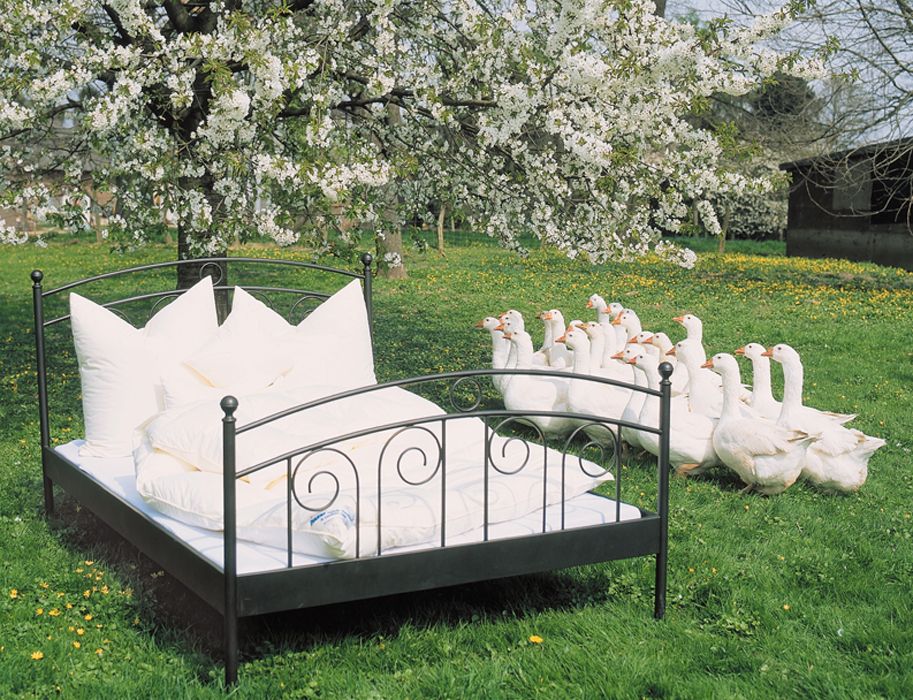 federbett-gaensepeter-gbr_1