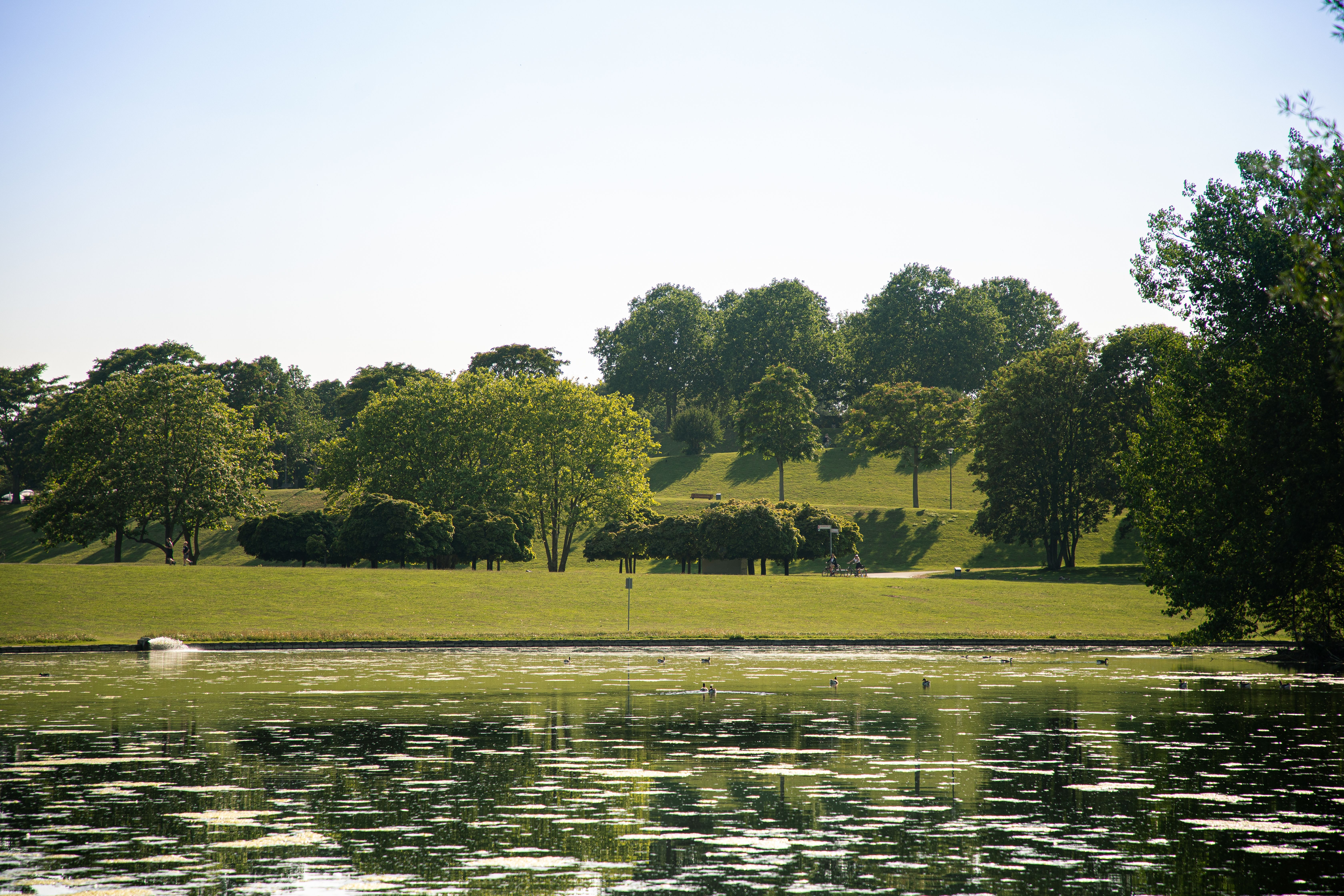 The 15-hectare Auensee lake has been one of the most popular attractions since the Rheinaue leisure park was created