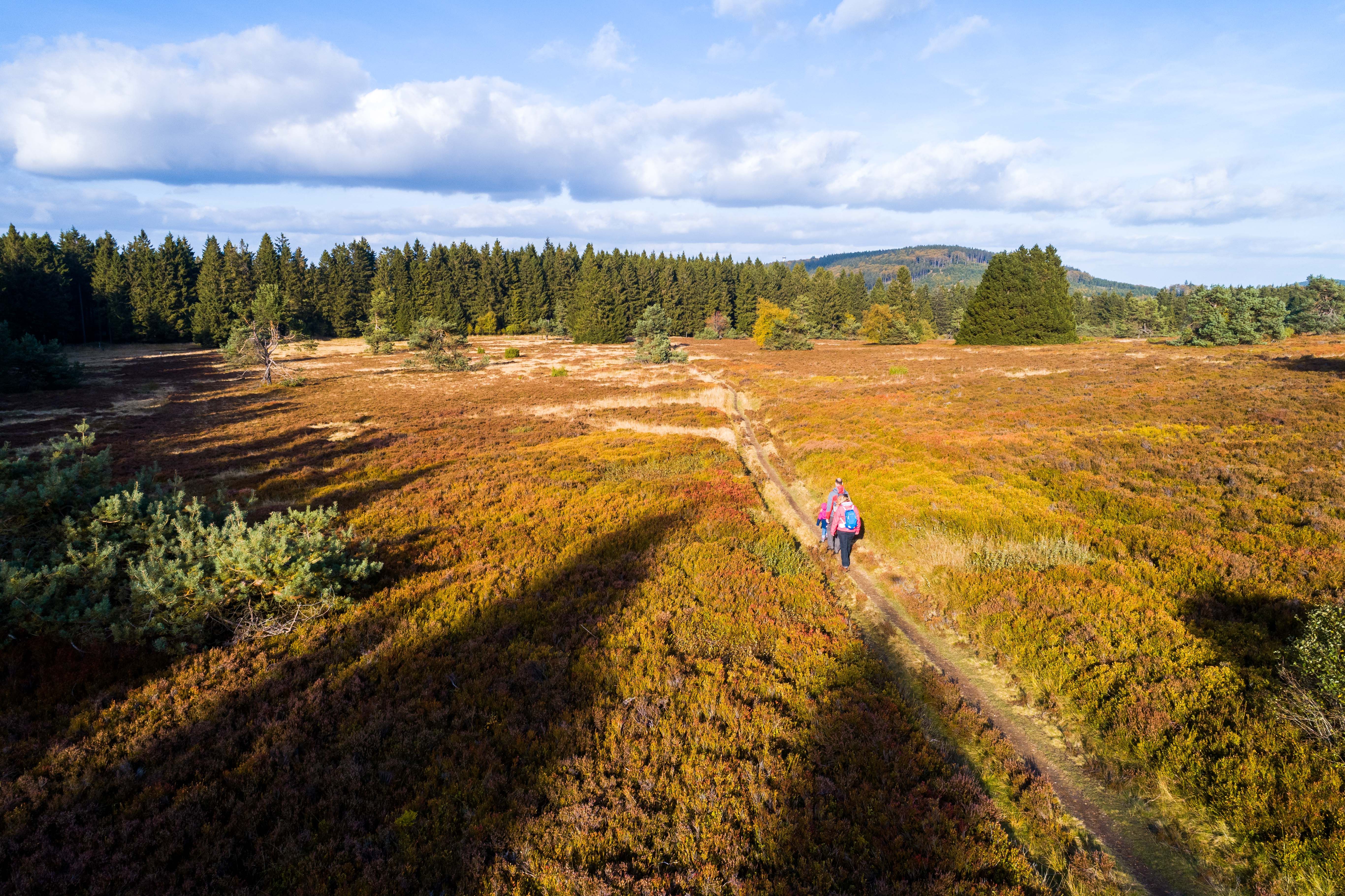 Out and about in the "Neuer Hagen" nature reserve, which boasts the largest high heath in NRW