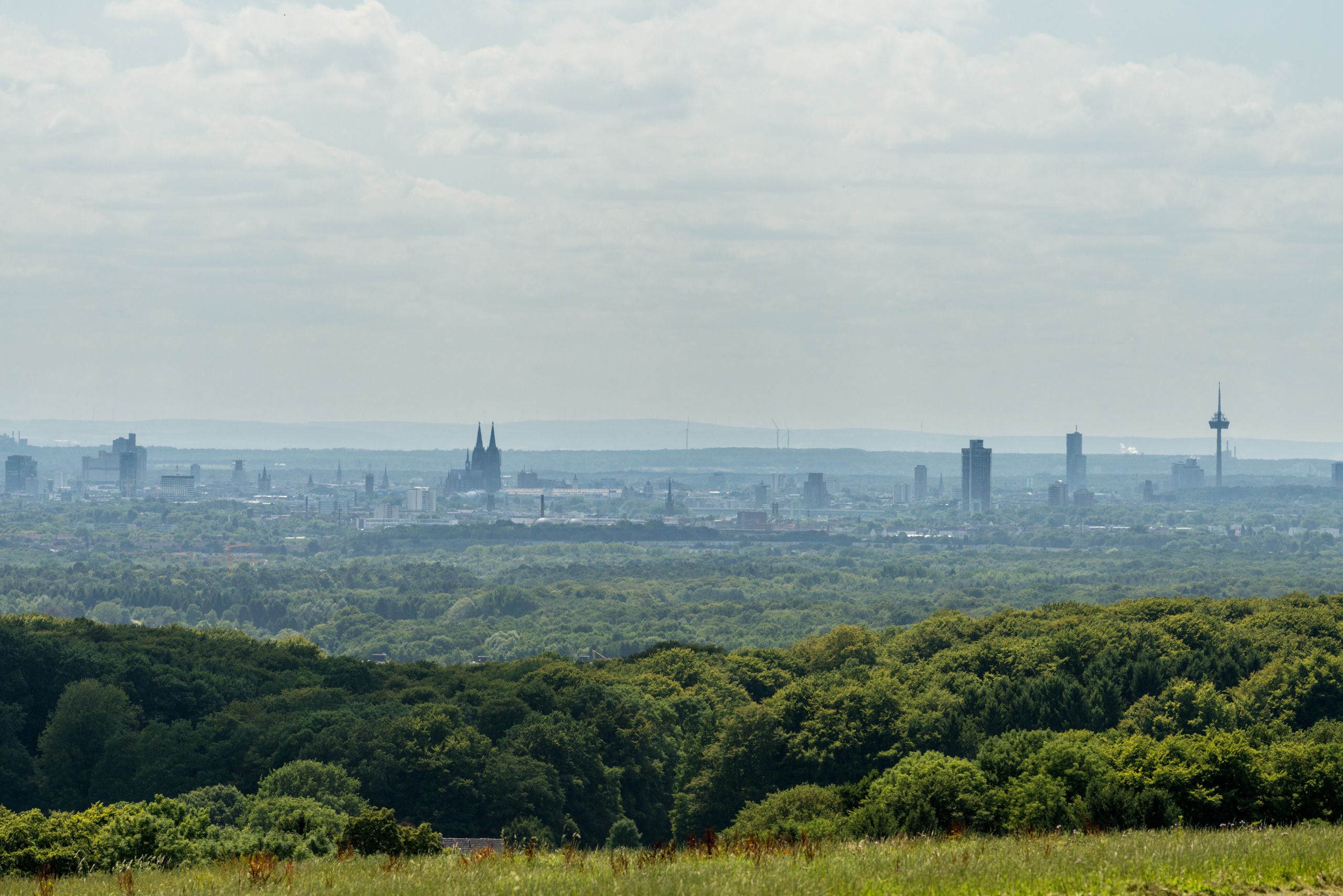 Panoramic view of Cologne with the cathedral and television tower, surrounded by green forests.
