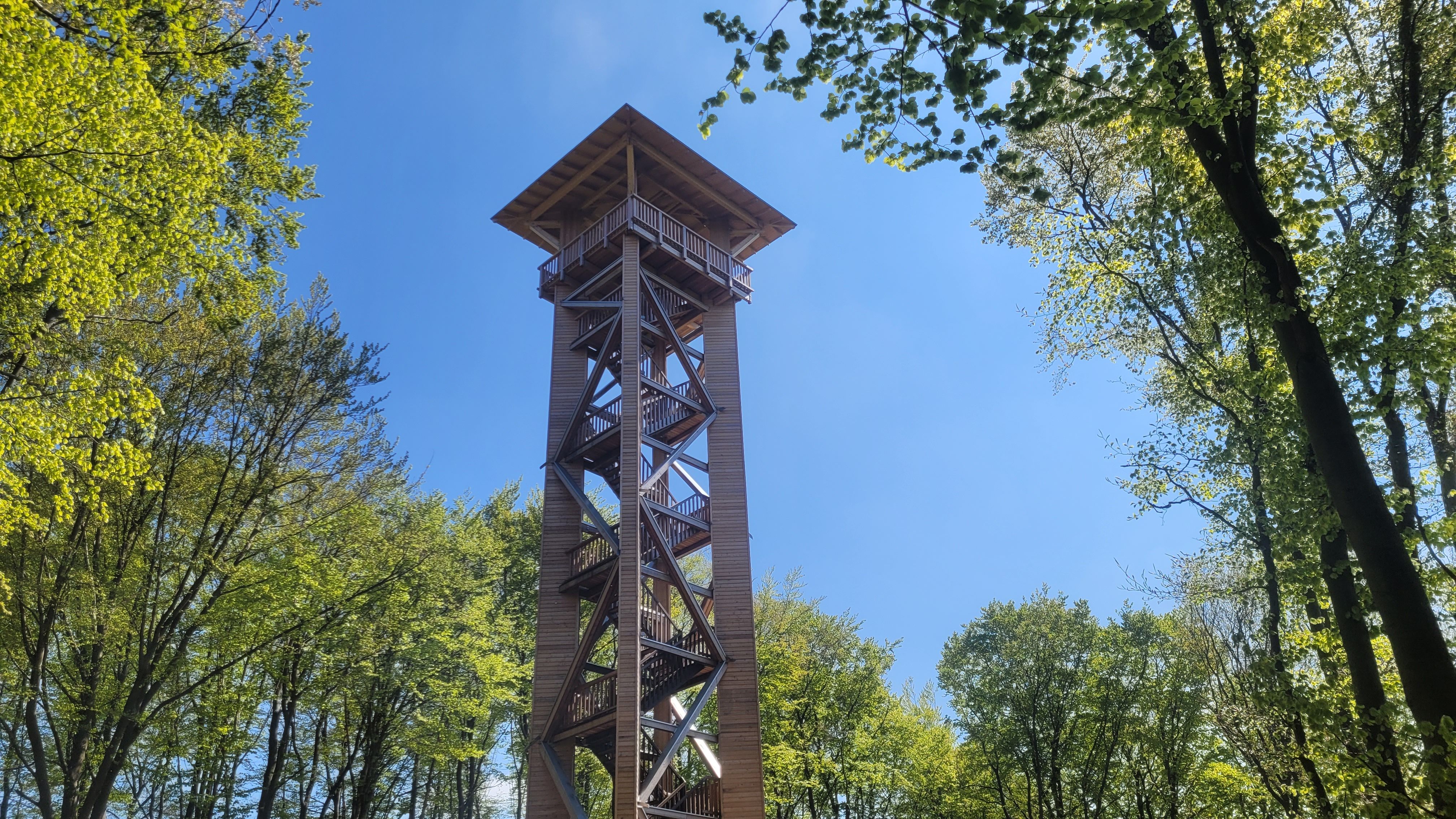 Observation tower in the forest